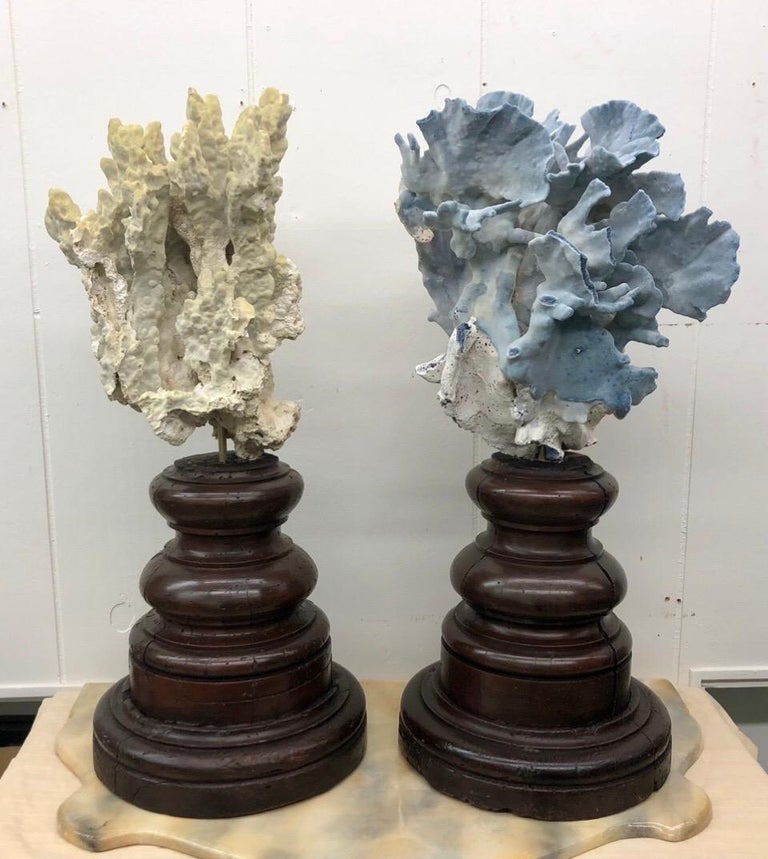 Pair of 18th Century Italian Base with Grand Specimen Coral Sculptures For Sale 1