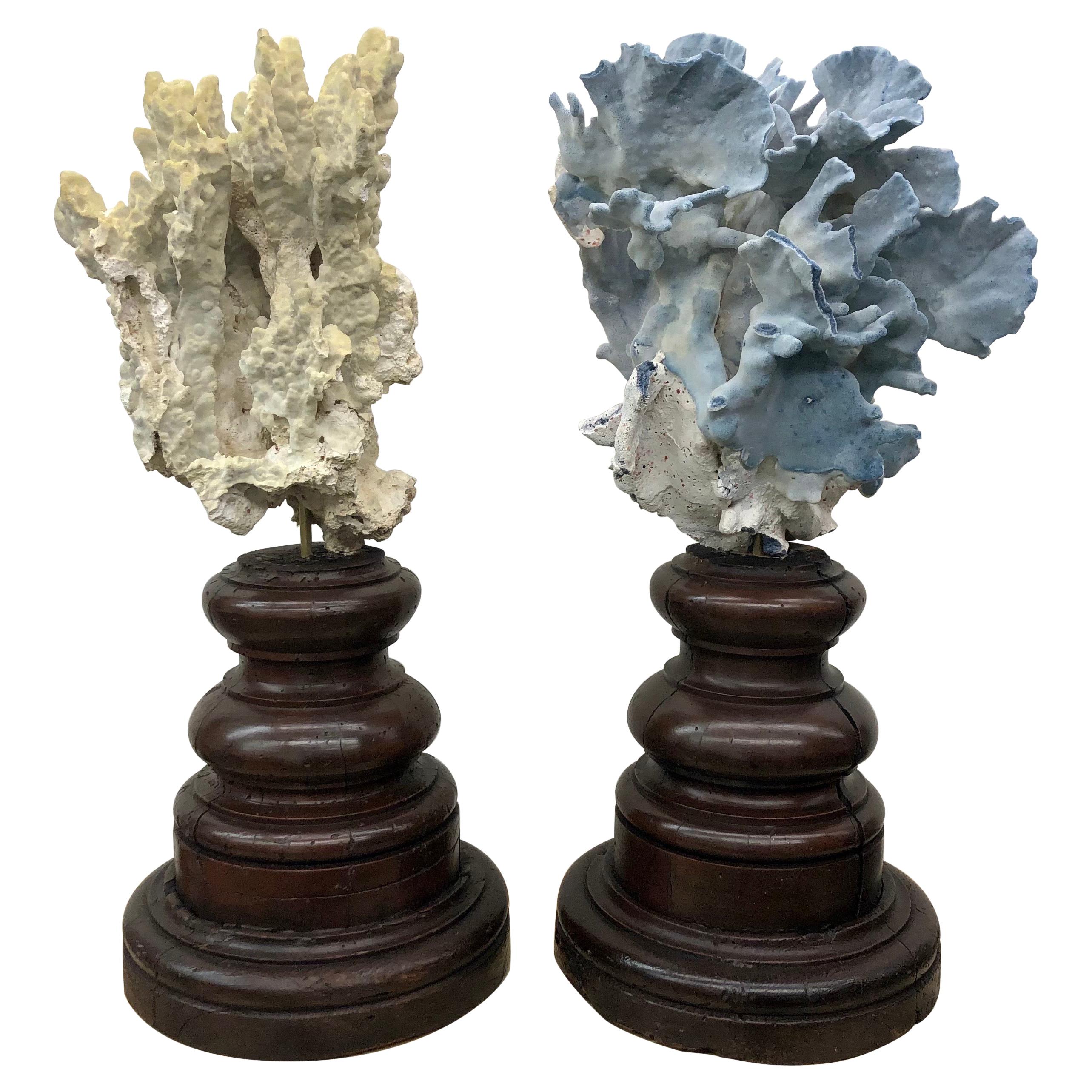 Pair of 18th Century Italian Base with Grand Specimen Coral Sculptures