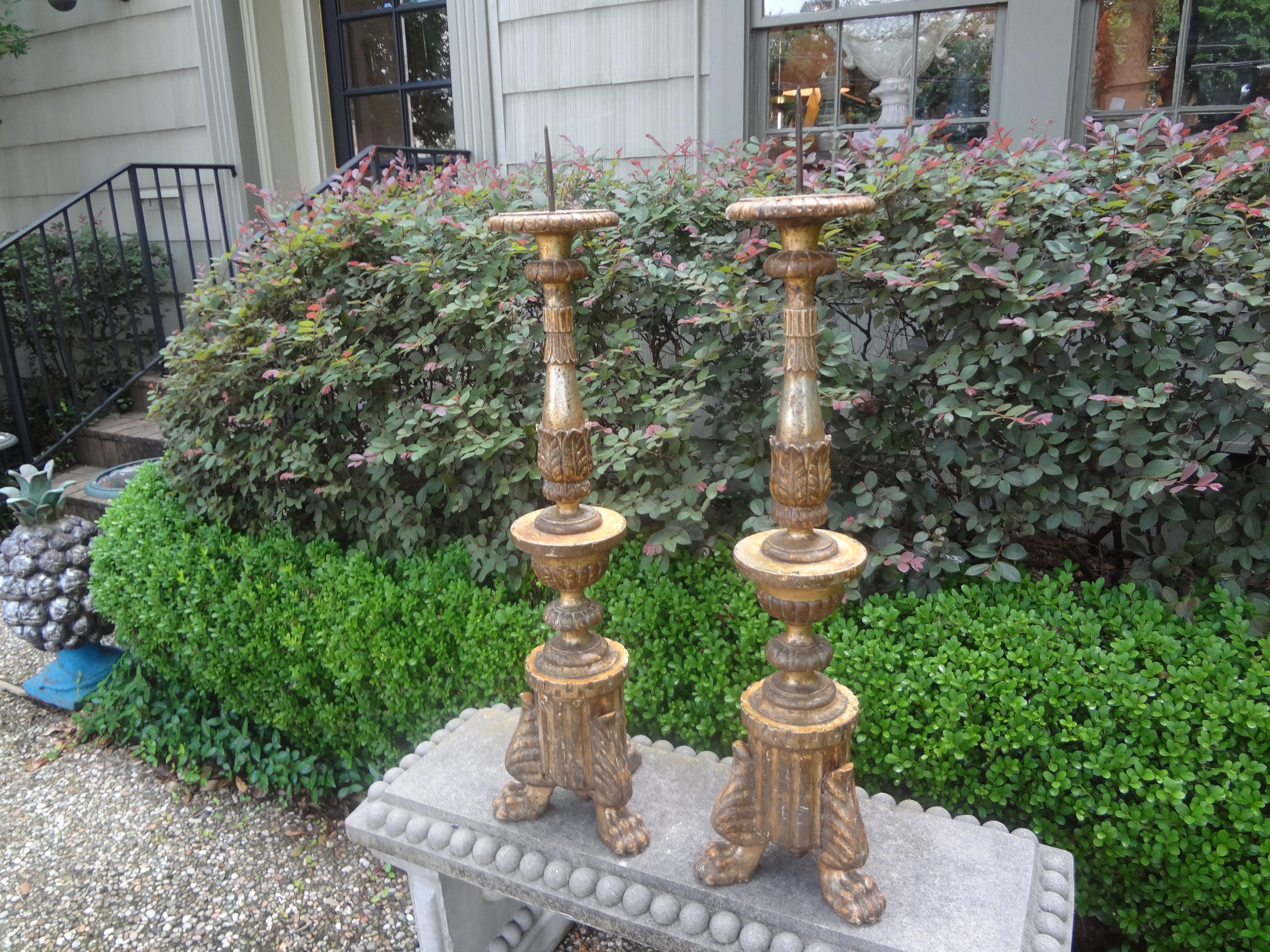 Pair of 18th Century Italian Giltwood Altar Sticks or Prickets from Lucca For Sale 4