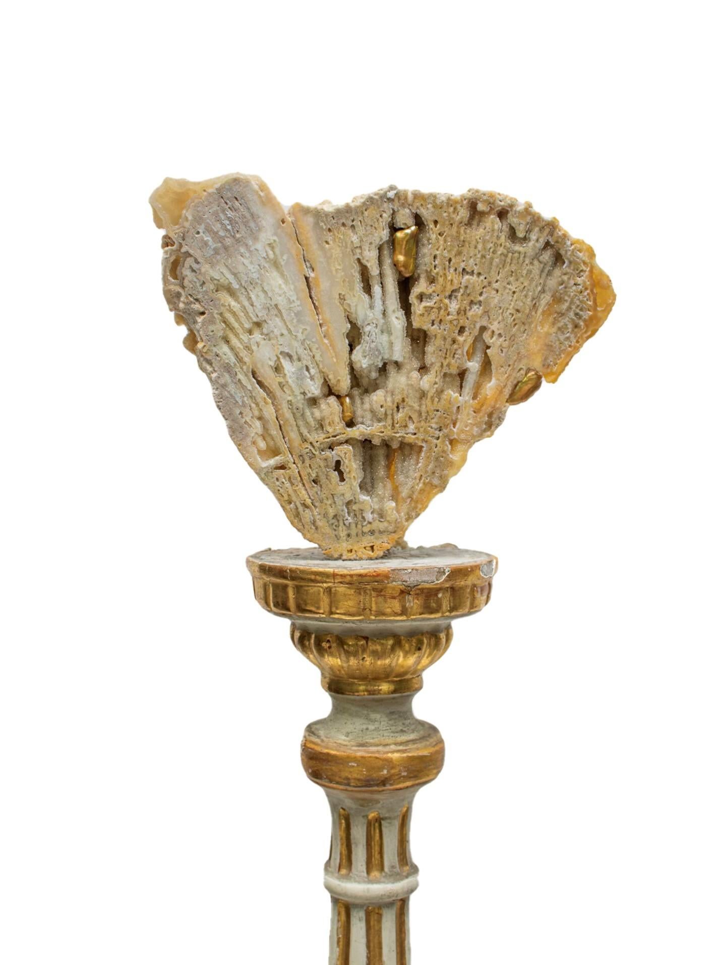 Pair of 18th Century Italian Gold Leaf Candlesticks with Fossil Agate Coral In Good Condition For Sale In Dublin, Dalkey