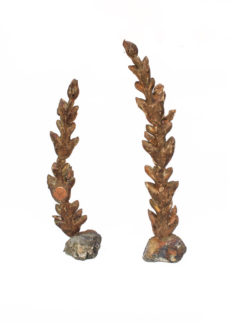 Pair of 18th-century Italian leaf fragments with natural-forming baroque pearls on chalcopyrite mineral bases. The fragments were once part of a decorative motif in a church in Tuscany. 

The pair is put together by Jean O'Reilly Barlow, the
