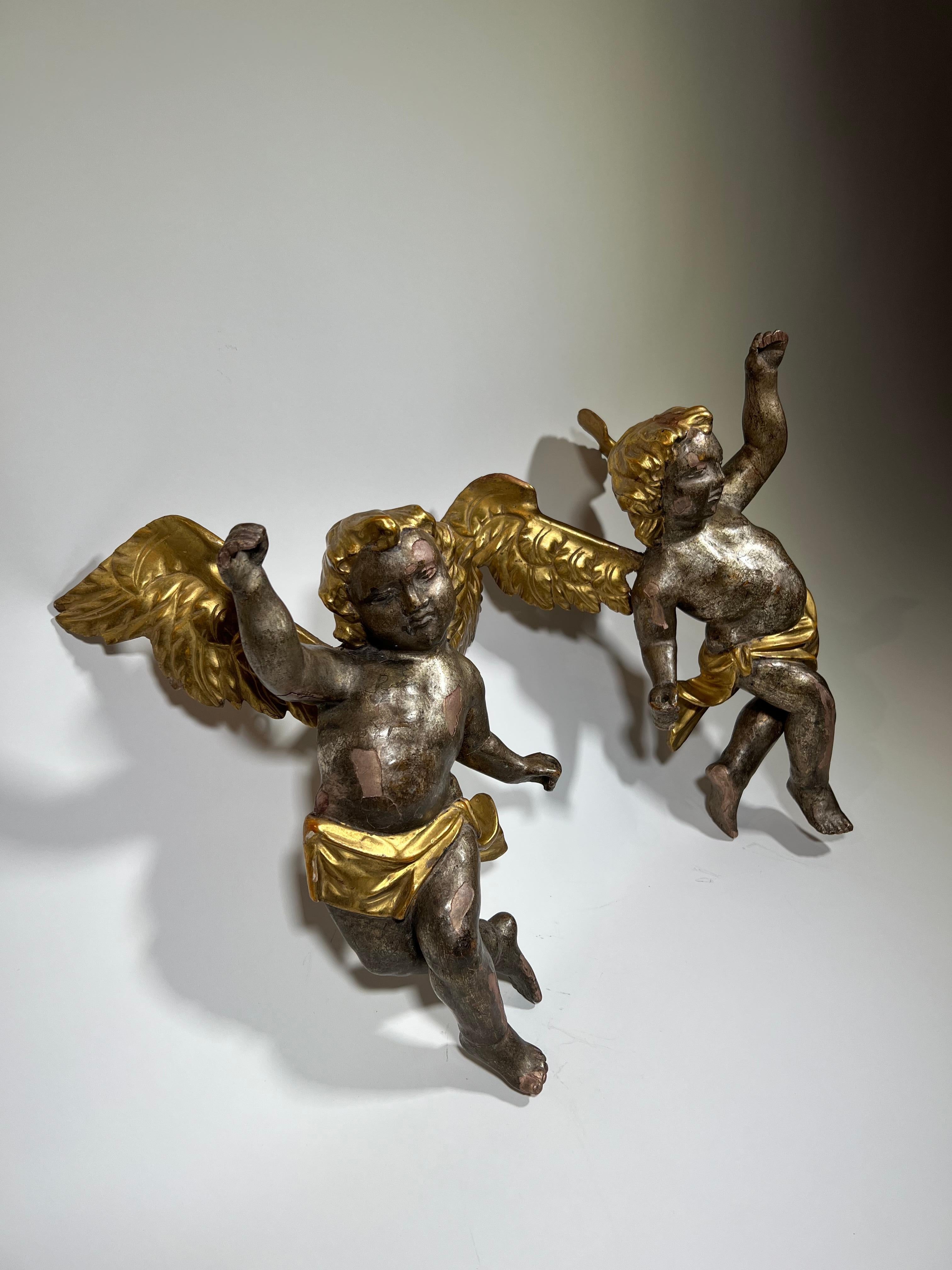 Doré Paire de Puttini italiennes du 18ème siècle en bois doré en vente