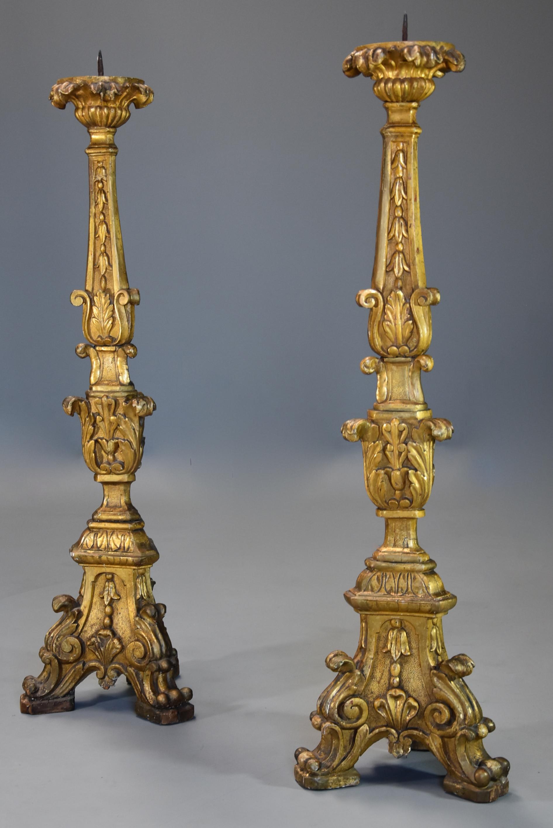 A pair of large 18th century Italian Rococo carved giltwood pricket candlesticks, one of the three sides being gilt and the other two sides being silver gilt making them very versatile! 

These impressive candlesticks each consist of a circular