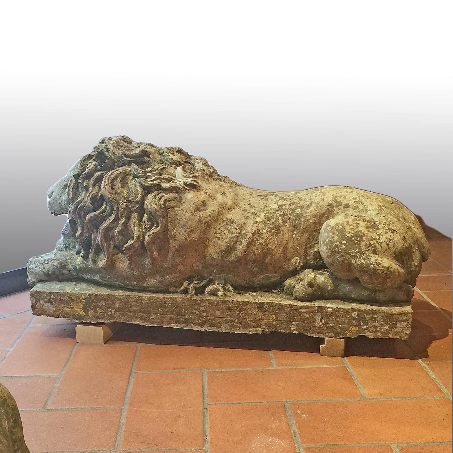 Pair of 18th Century Italian Terracotta Lion Sculptures available separately In Good Condition In Firenze, IT