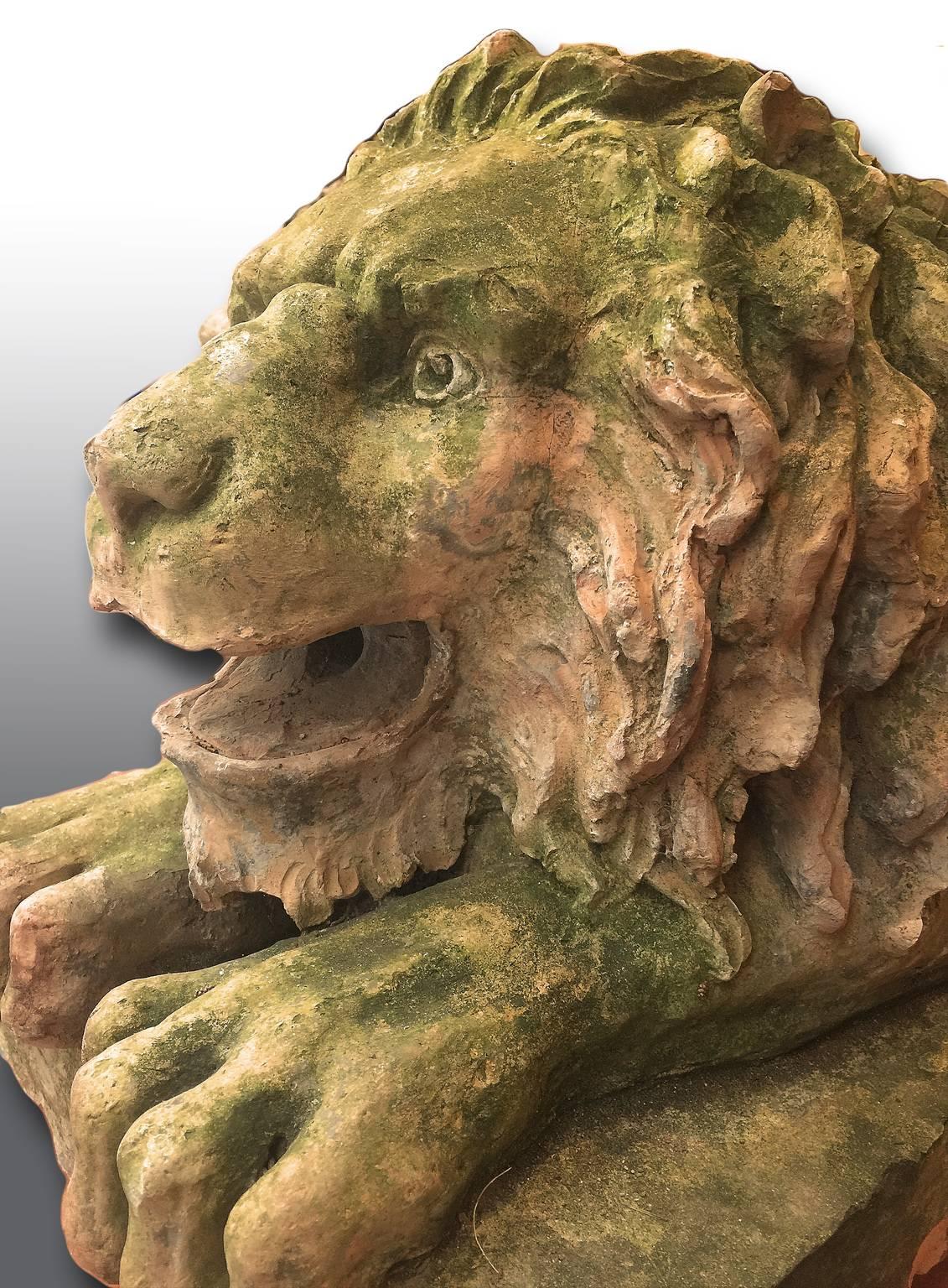 Pair of 18th Century Italian Terracotta Lion Sculptures available separately 1