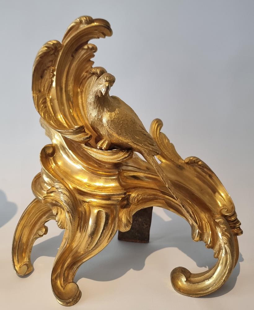 A magnificent pair of Louis XVth rococco ormolu chenets. The fire/mercury gilt ormolu in magnificent original condition, shewn unfortunately in these photos uncleaned. Fabulous C scrolls rolling up above the parrots. Unbelievably fine hand chasing