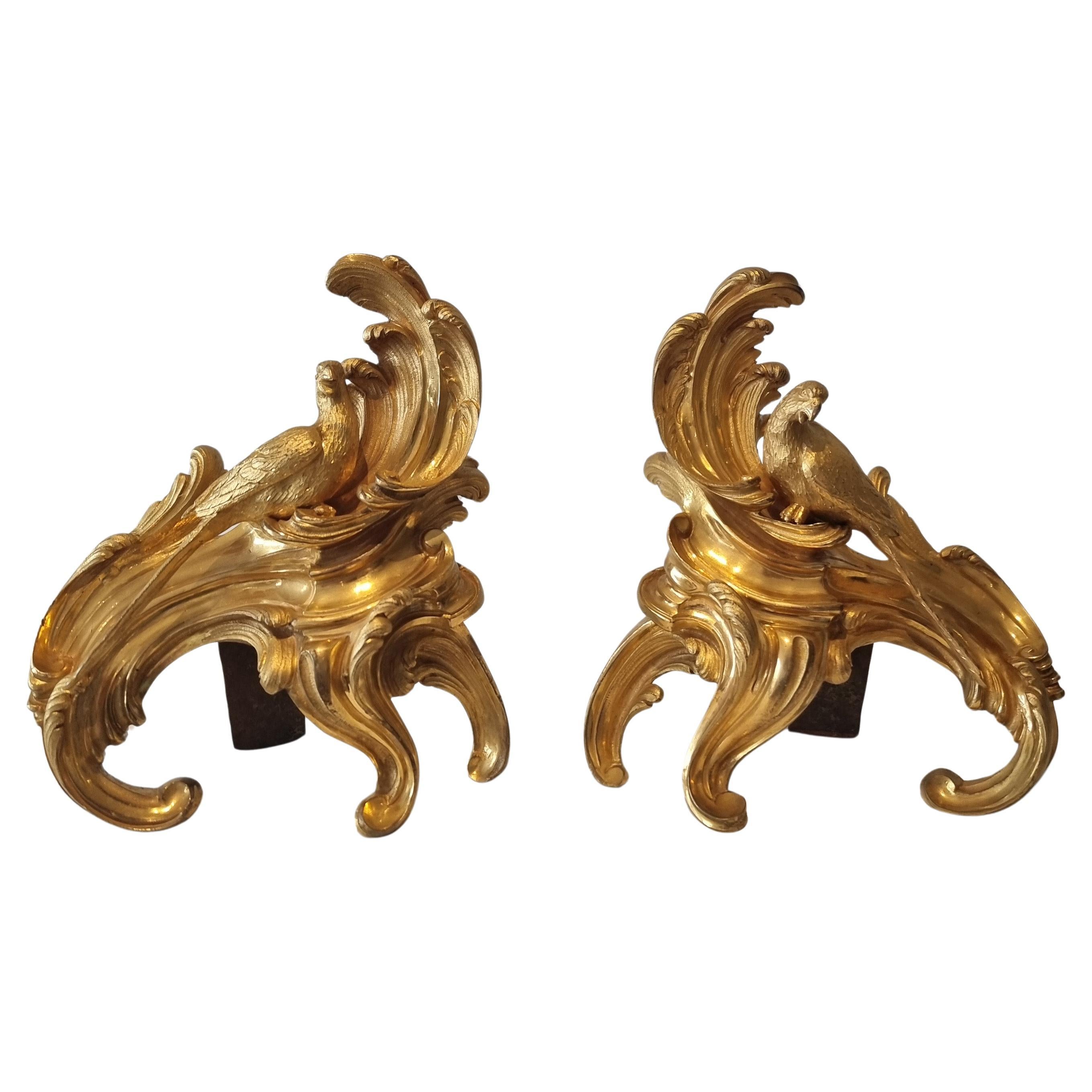 Pair of 18th century Louis XVth ormolu chenets with parrots For Sale