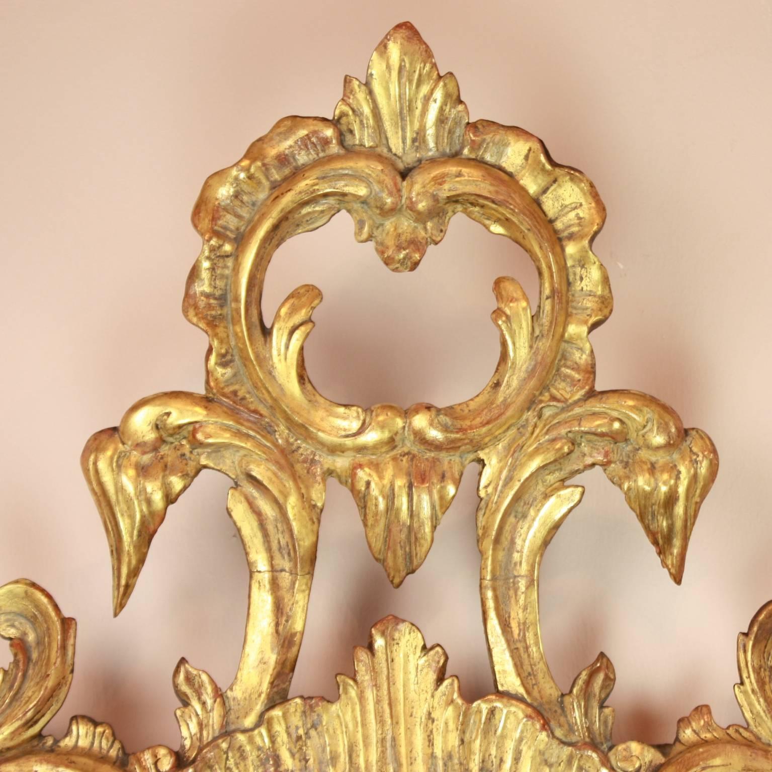 Paire de miroirs en bois doré d'Italie du Nord du XVIIIe siècle et anciennes girandoles ou appliques. Sculptée de manière très élaborée en forme symétrique avec des fleurs, des feuilles, des oiseaux Ho Ho, des rinceaux et des rocailles. Un support