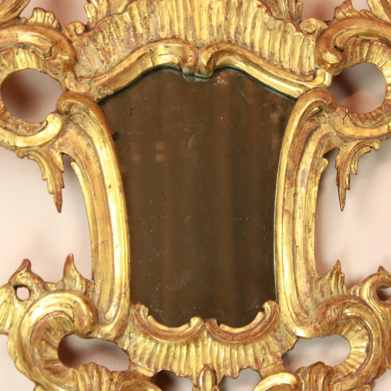 18th Century and Earlier Pair of 18th Century North Italian Rococo Giltwood Mirrors For Sale