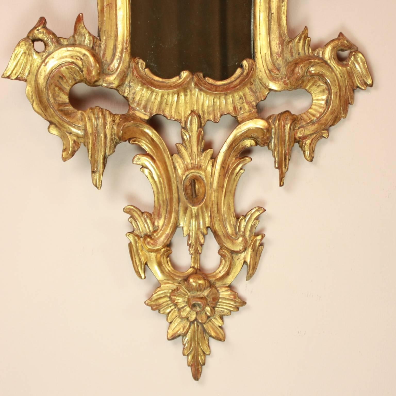 Paar norditalienische Rokoko-Spiegel aus vergoldetem Holz aus dem 18. Jahrhundert (18. Jahrhundert und früher) im Angebot