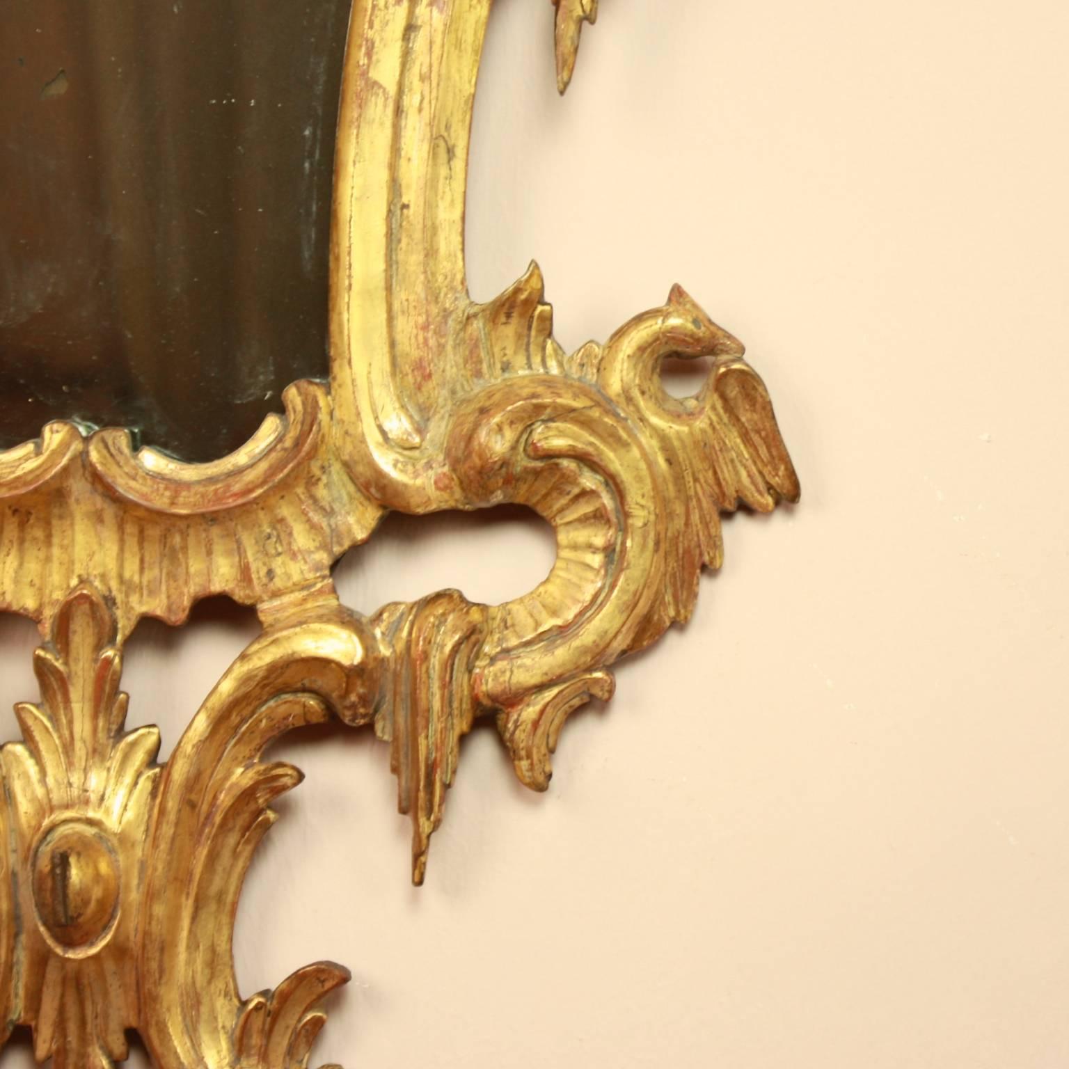 Paar norditalienische Rokoko-Spiegel aus vergoldetem Holz aus dem 18. Jahrhundert im Angebot 1