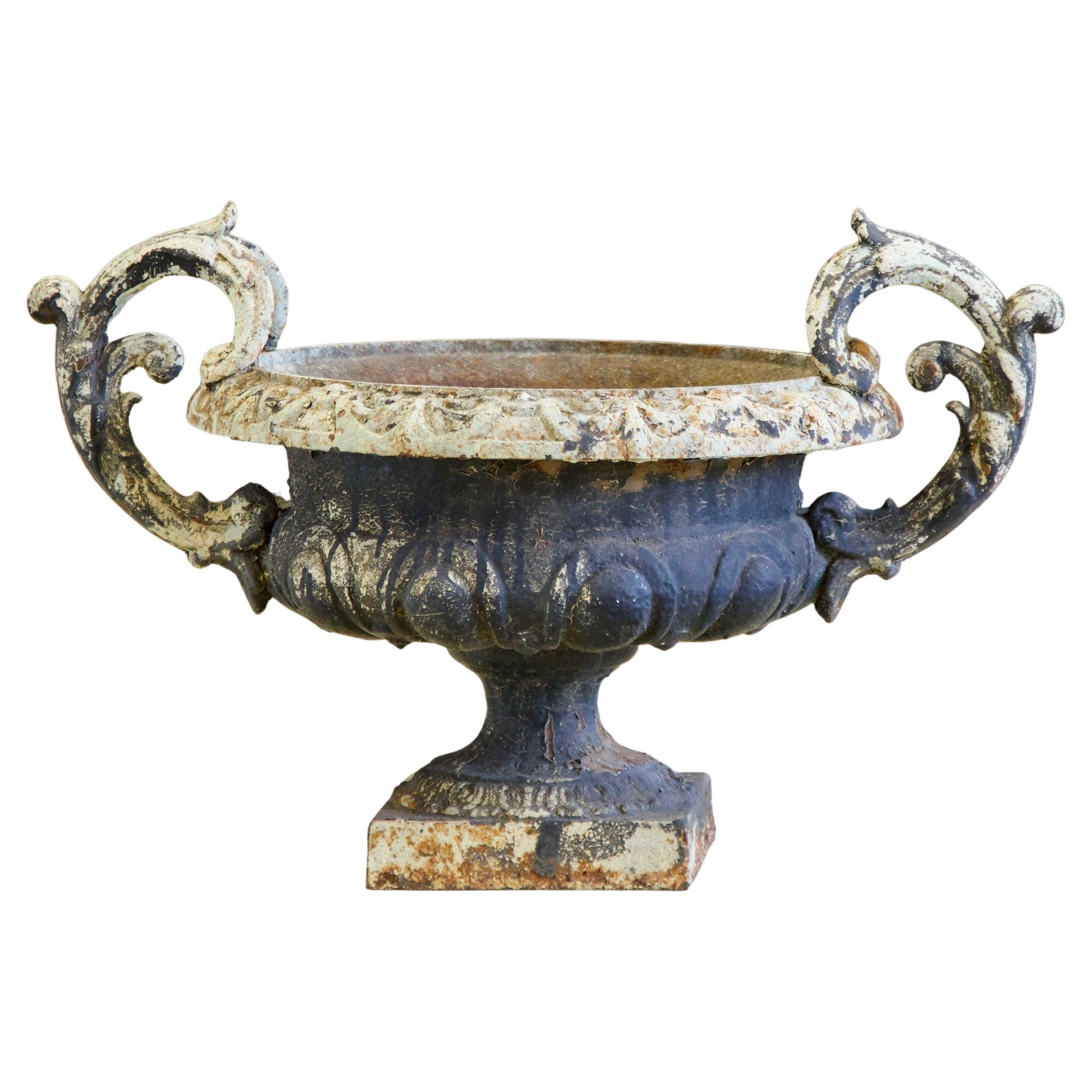 19th French century cast iron urns. Scrolled decorative handles.
Very nice patina.
 