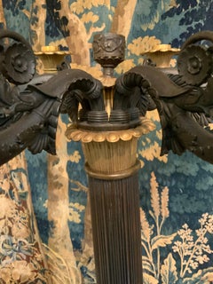 Pair of 19 th c bronze candelabrum by thornier