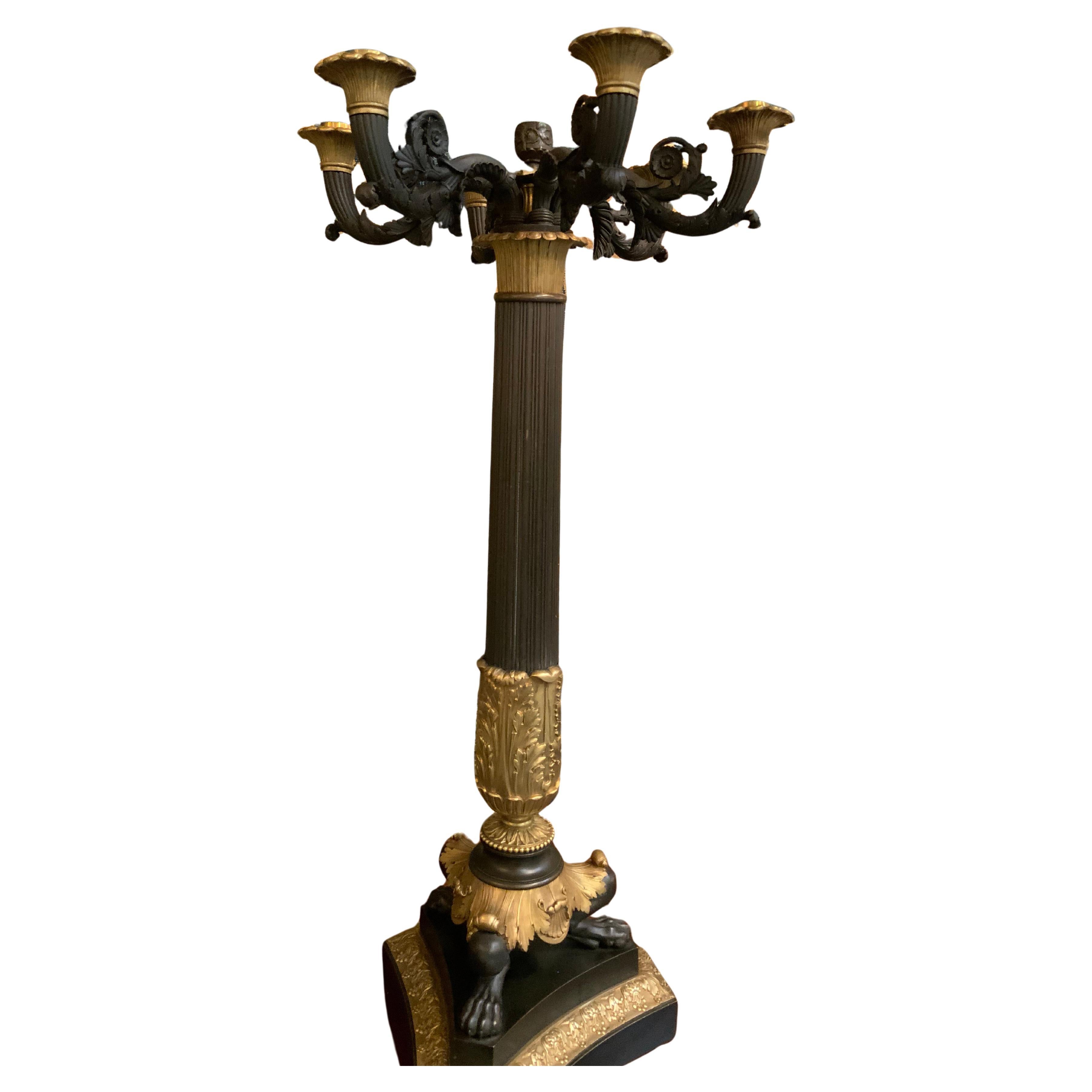 Coppia di candelabri in bronzo del 19° secolo di Thornier in vendita