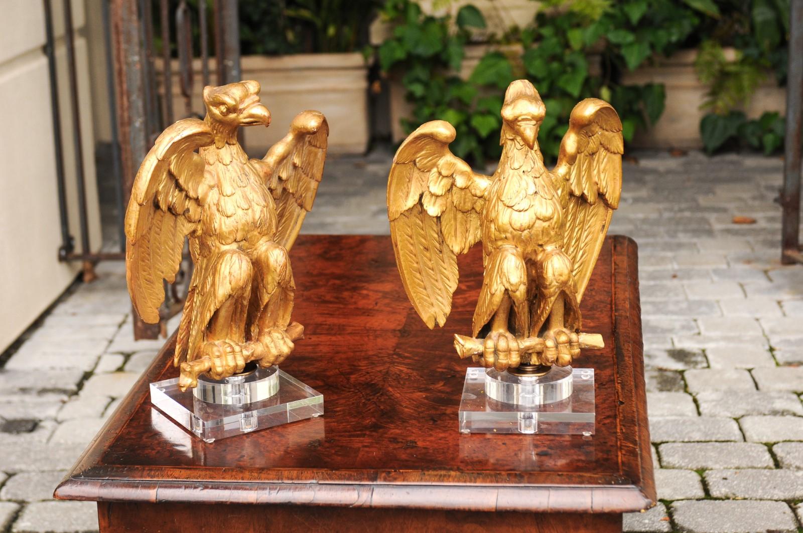 A pair of French carved giltwood eagle sculptures from the early 20th century mounted on new Lucite bases. Born in France in the turn of the century during the Belle Époque era, this pair of carved eagles strikes by its presence and stature. Each