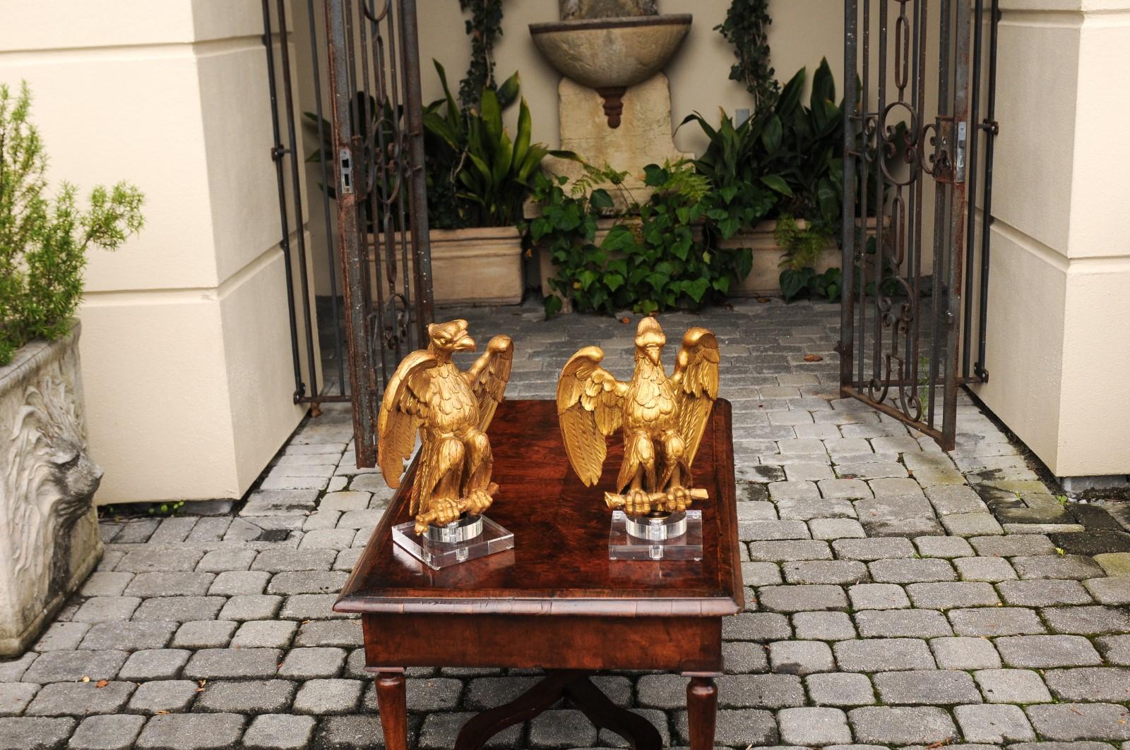 Pair of 1900s French Carved Giltwood Eagle Sculptures Mounted on Lucite Bases In Good Condition For Sale In Atlanta, GA