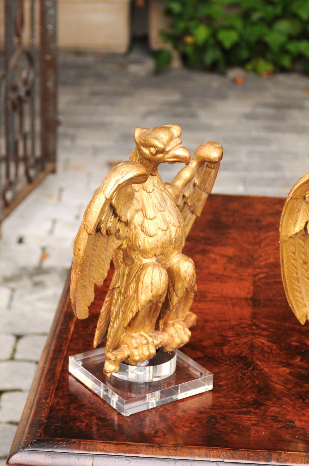 Pareja de esculturas francesas de águila de madera dorada tallada de 1900 montadas sobre bases de lucita Tallado en venta