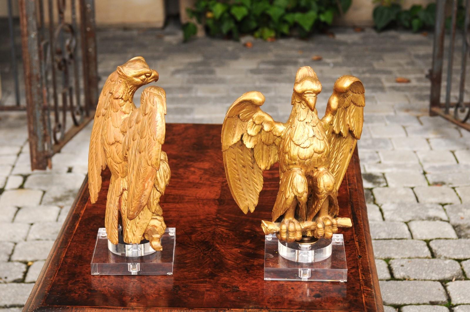 Pair of 1900s French Carved Giltwood Eagle Sculptures Mounted on Lucite Bases For Sale 2
