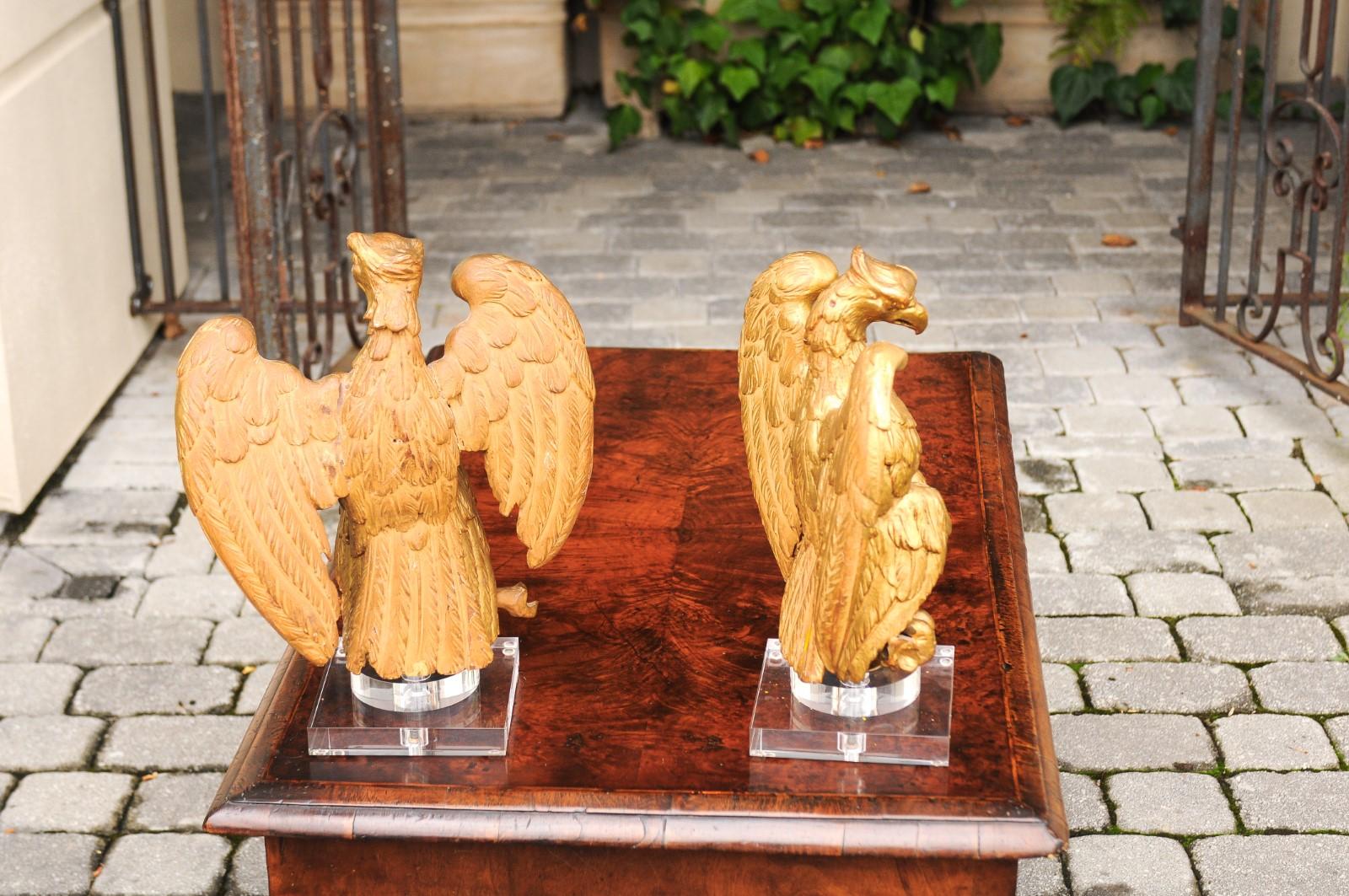 Paar französische geschnitzte Adlerskulpturen aus vergoldetem Holz, auf Lucite-Sockeln montiert, 1900er Jahre im Angebot 1