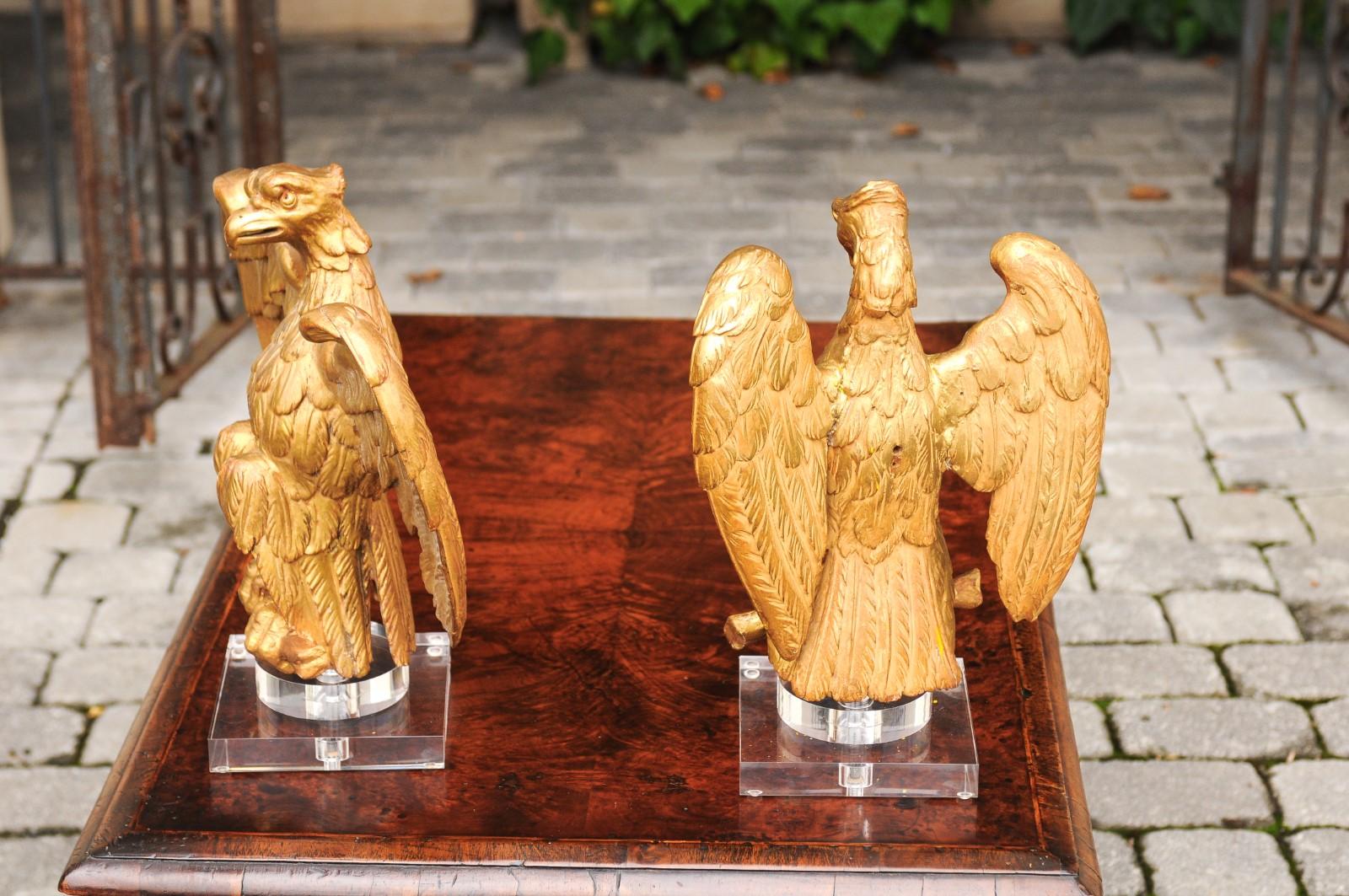 Pareja de esculturas francesas de águila de madera dorada tallada de 1900 montadas sobre bases de lucita en venta 1