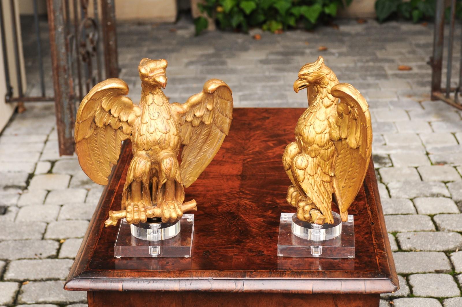 Paar französische geschnitzte Adlerskulpturen aus vergoldetem Holz, auf Lucite-Sockeln montiert, 1900er Jahre im Angebot 3