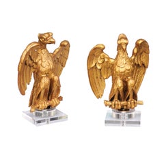 Pareja de esculturas francesas de águila de madera dorada tallada de 1900 montadas sobre bases de lucita