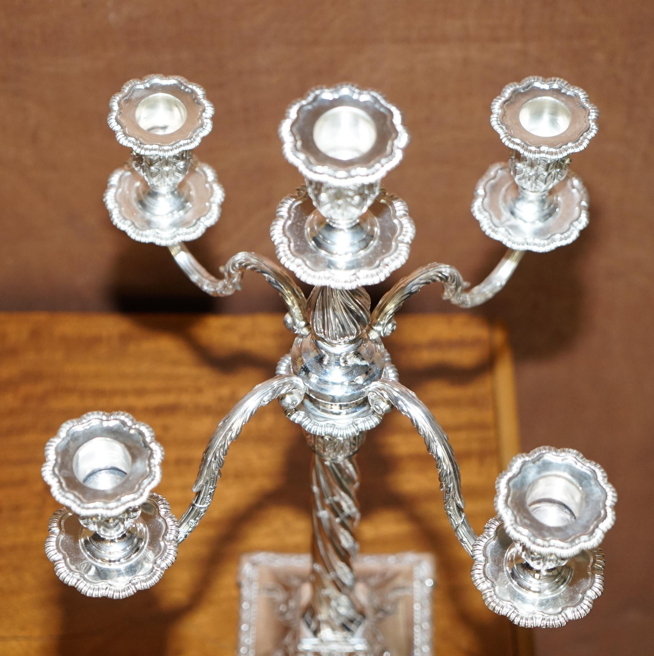 Pair of 1904 Restored Sterling Silver Henry Wigfull Candelabra Candlesticks For Sale 8