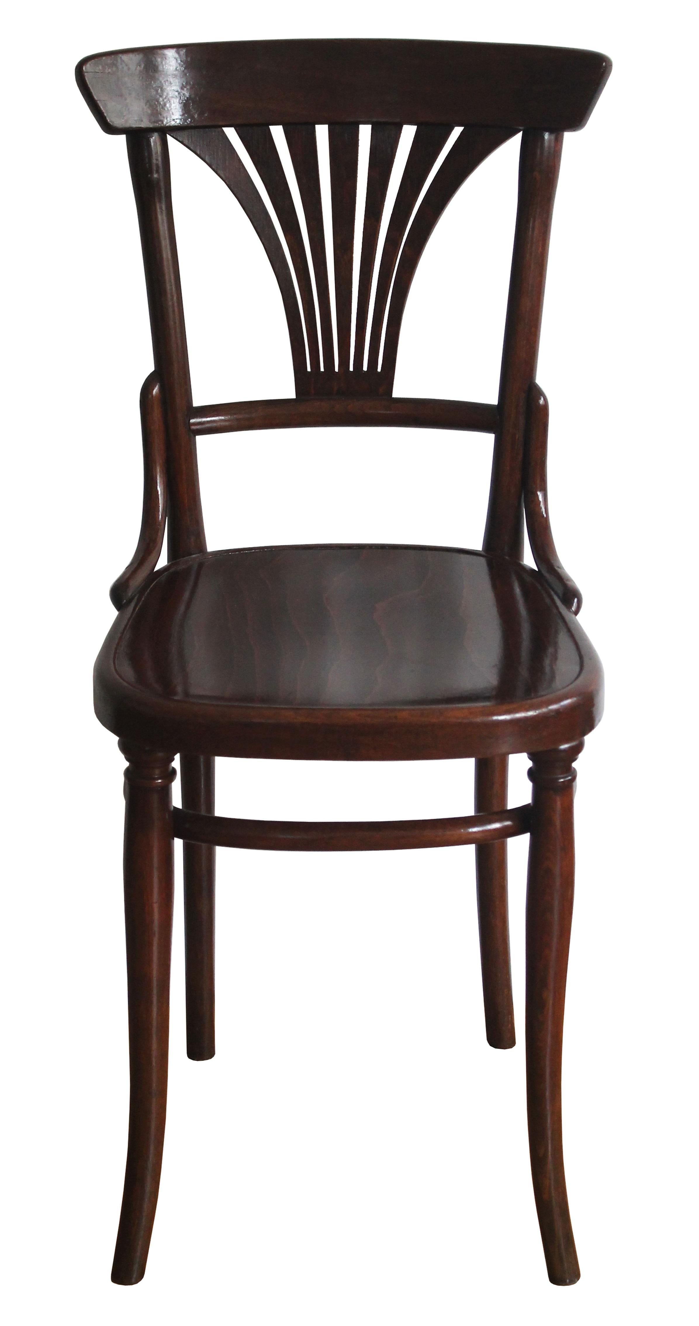 Pair of 1910's dining chairs model no.221 by Gebrüder Thonet For Sale 3