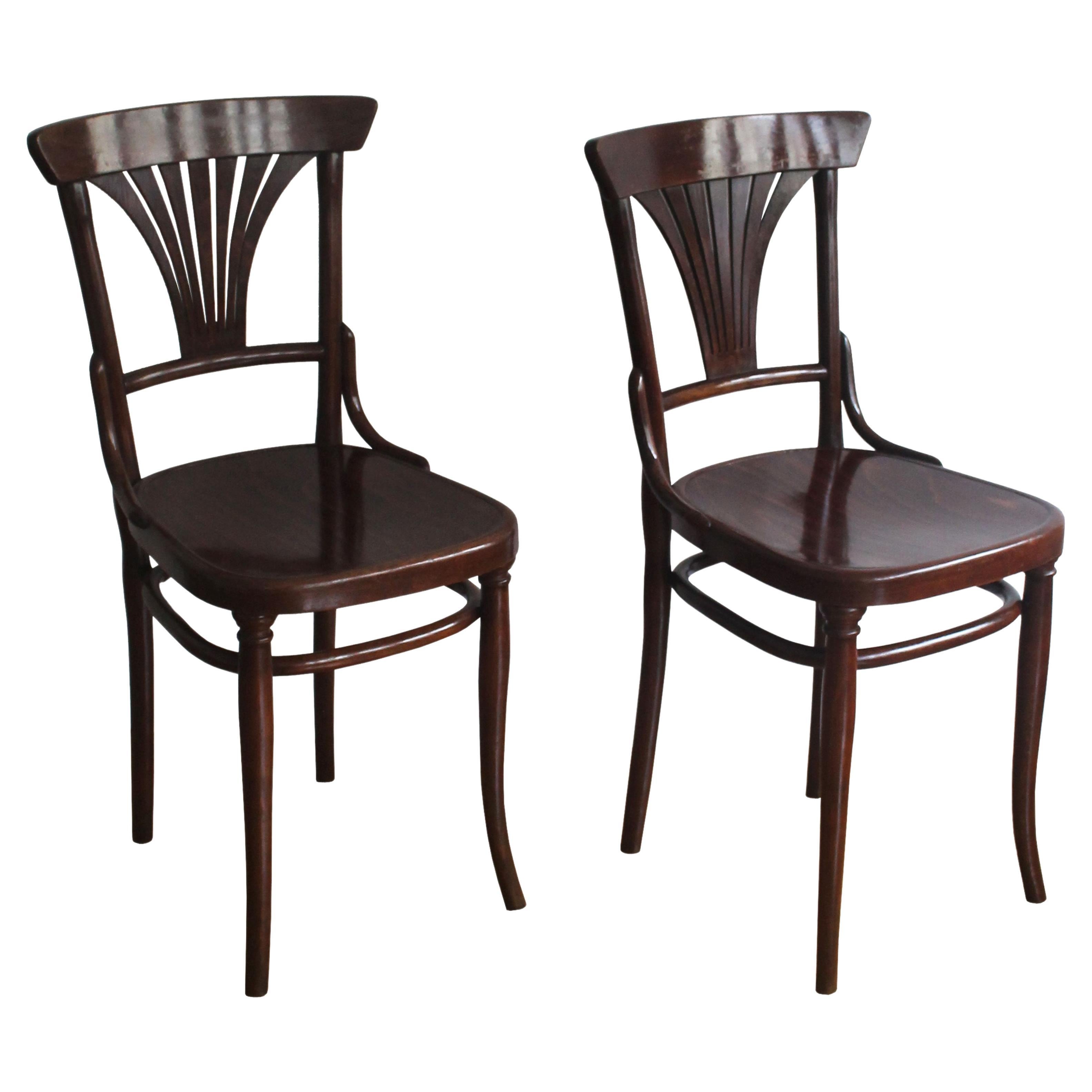 Pair of 1910's dining chairs model no.221 by Gebrüder Thonet For Sale