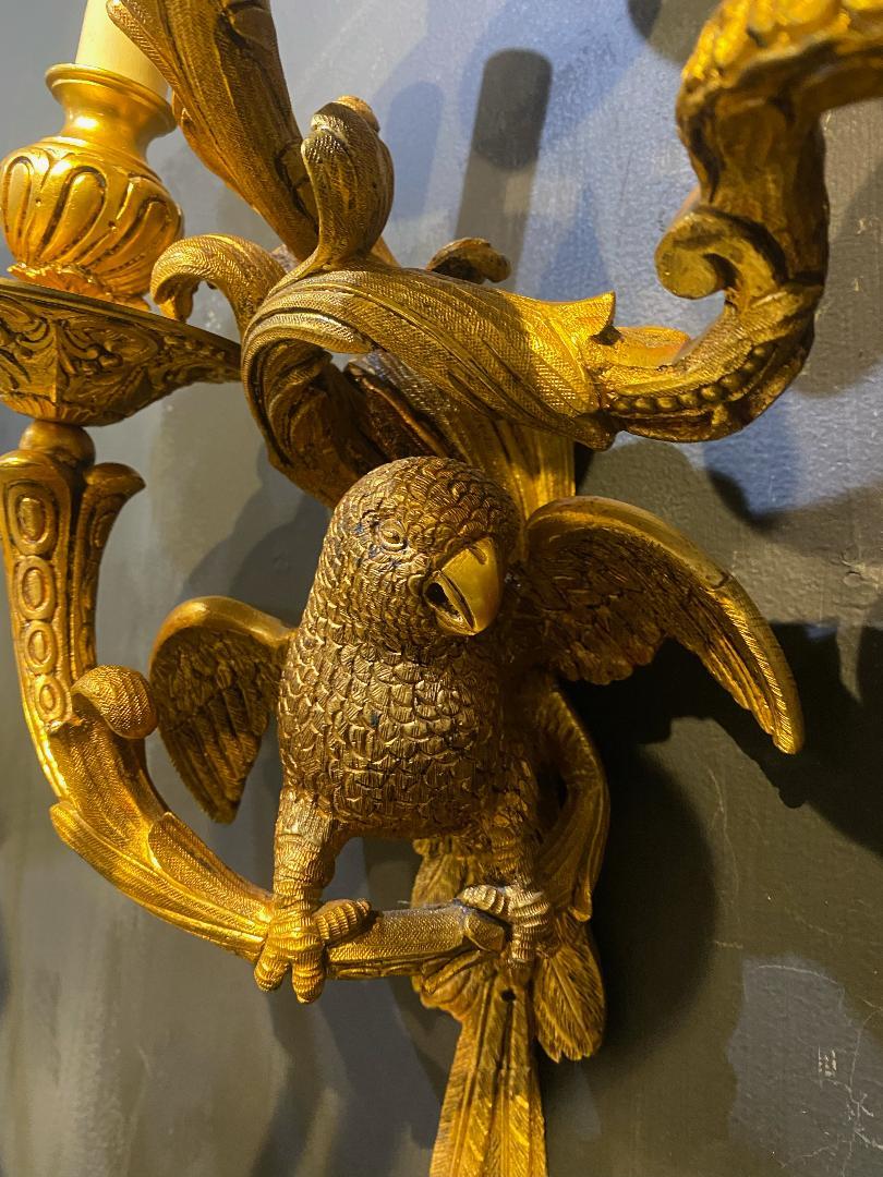 Gilt Pair of 1920's Bronze Bagues Parrots Sconces For Sale