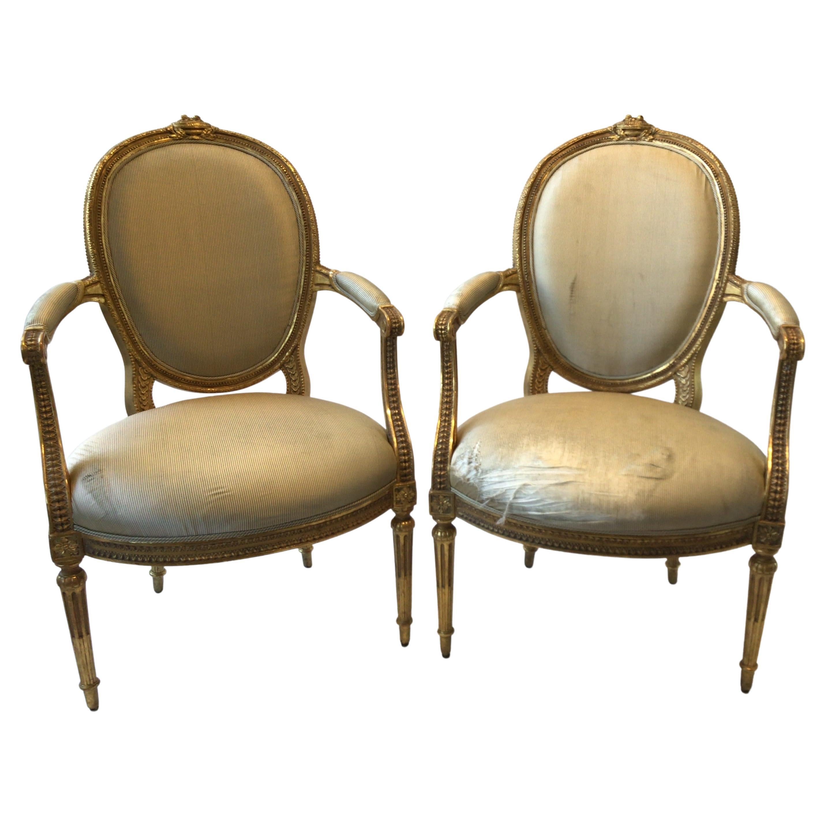 Pair of 1920s Louis XVI French Carved Wood Gilt Armchairs