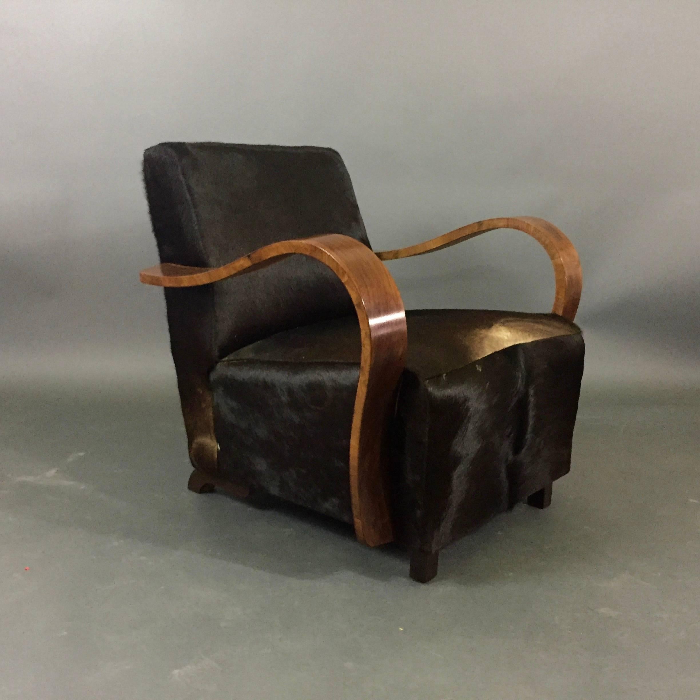 Pair of 1930s Austrian Art Deco Lounge Chairs, Black Hide Covers For Sale 5