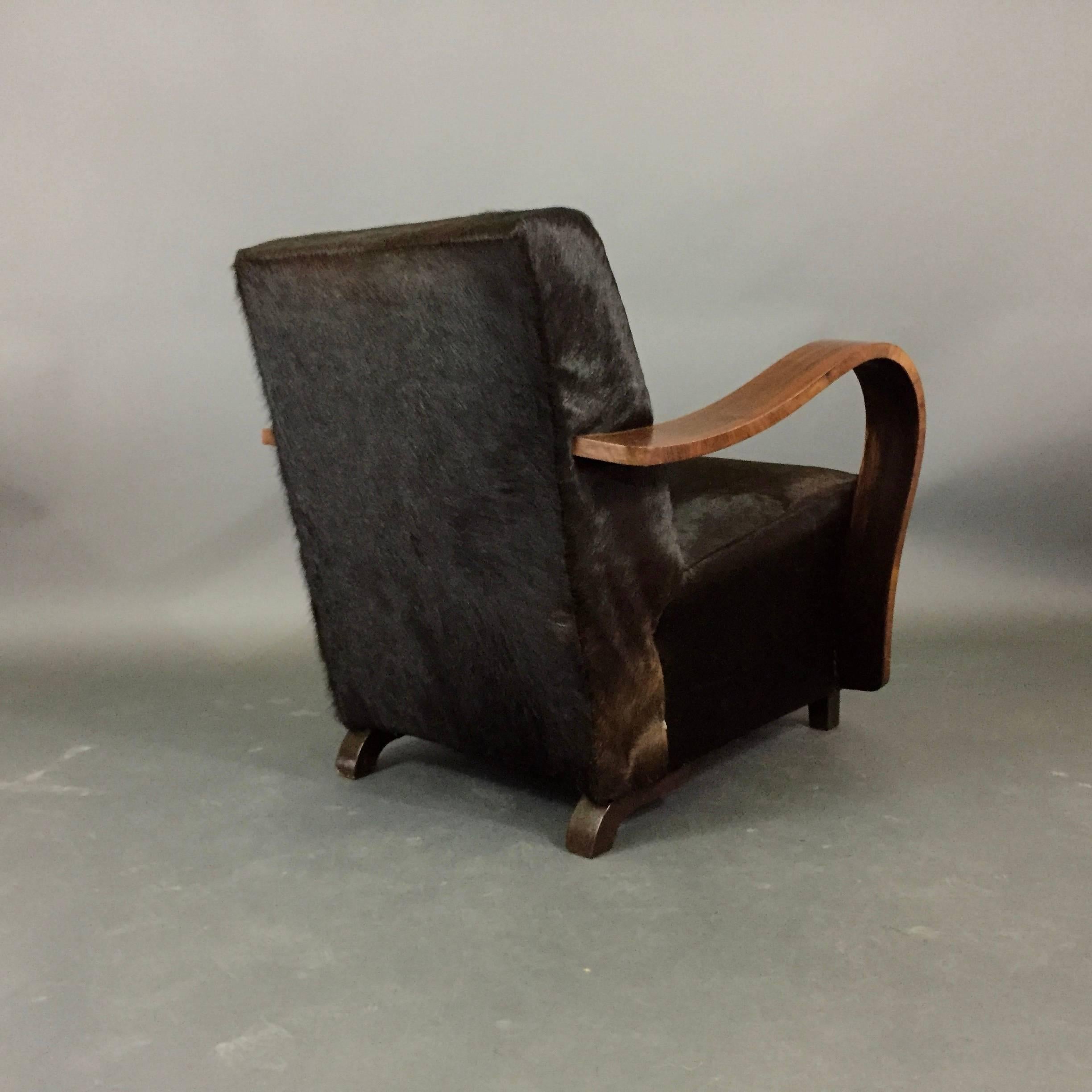 Pair of 1930s Austrian Art Deco Lounge Chairs, Black Hide Covers For Sale 6