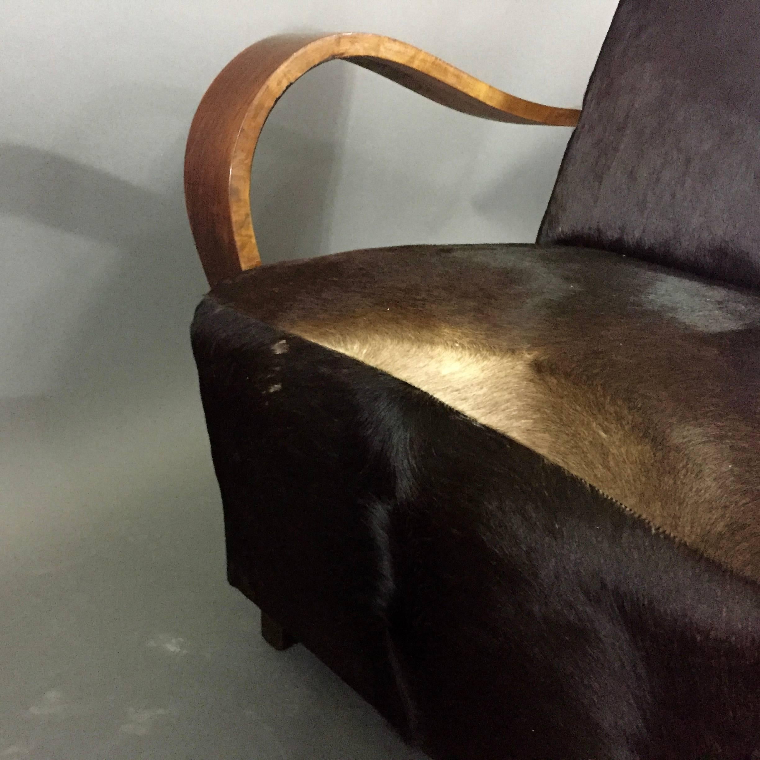 Pair of 1930s Austrian Art Deco Lounge Chairs, Black Hide Covers For Sale 8