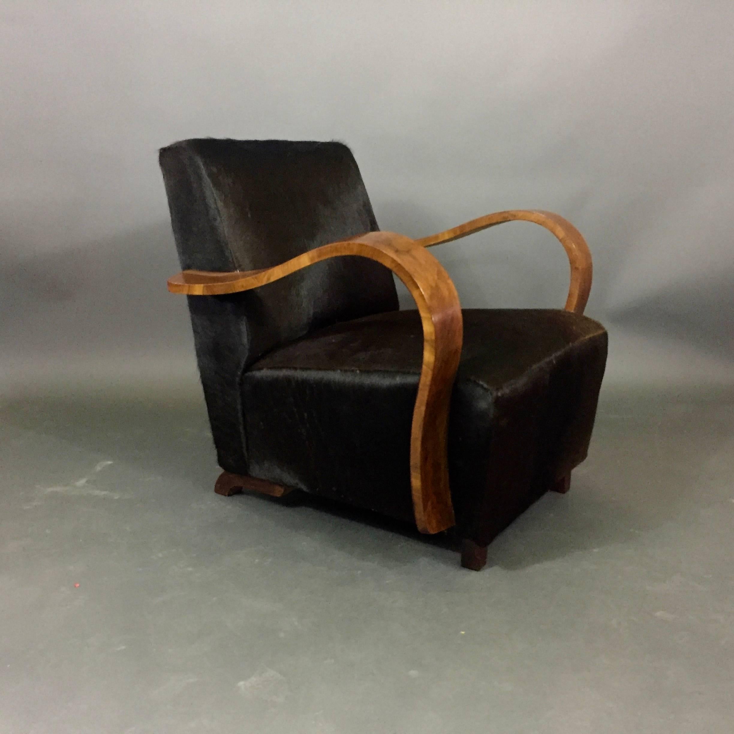 Mid-20th Century Pair of 1930s Austrian Art Deco Lounge Chairs, Black Hide Covers For Sale