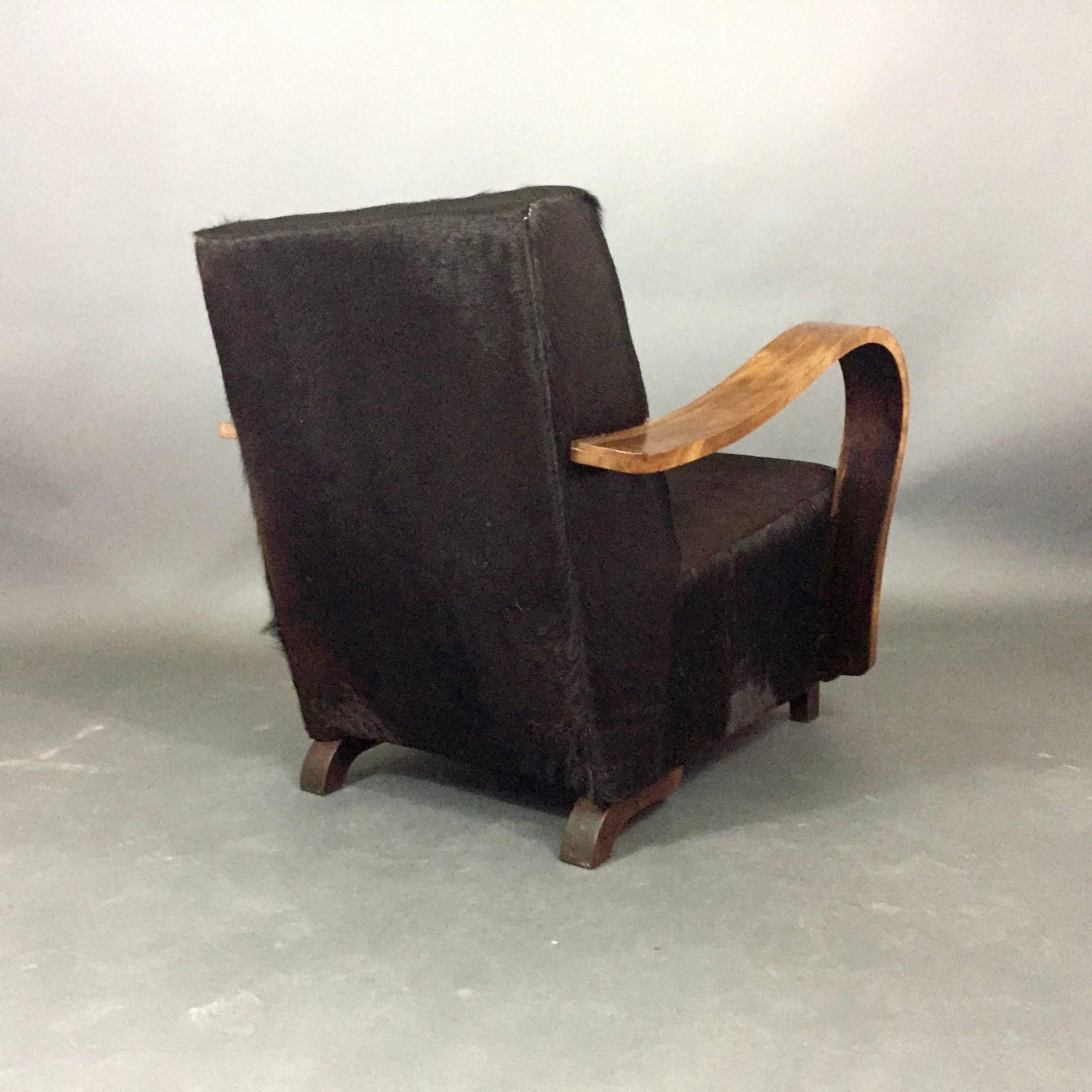 Cowhide Pair of 1930s Austrian Art Deco Lounge Chairs, Black Hide Covers For Sale
