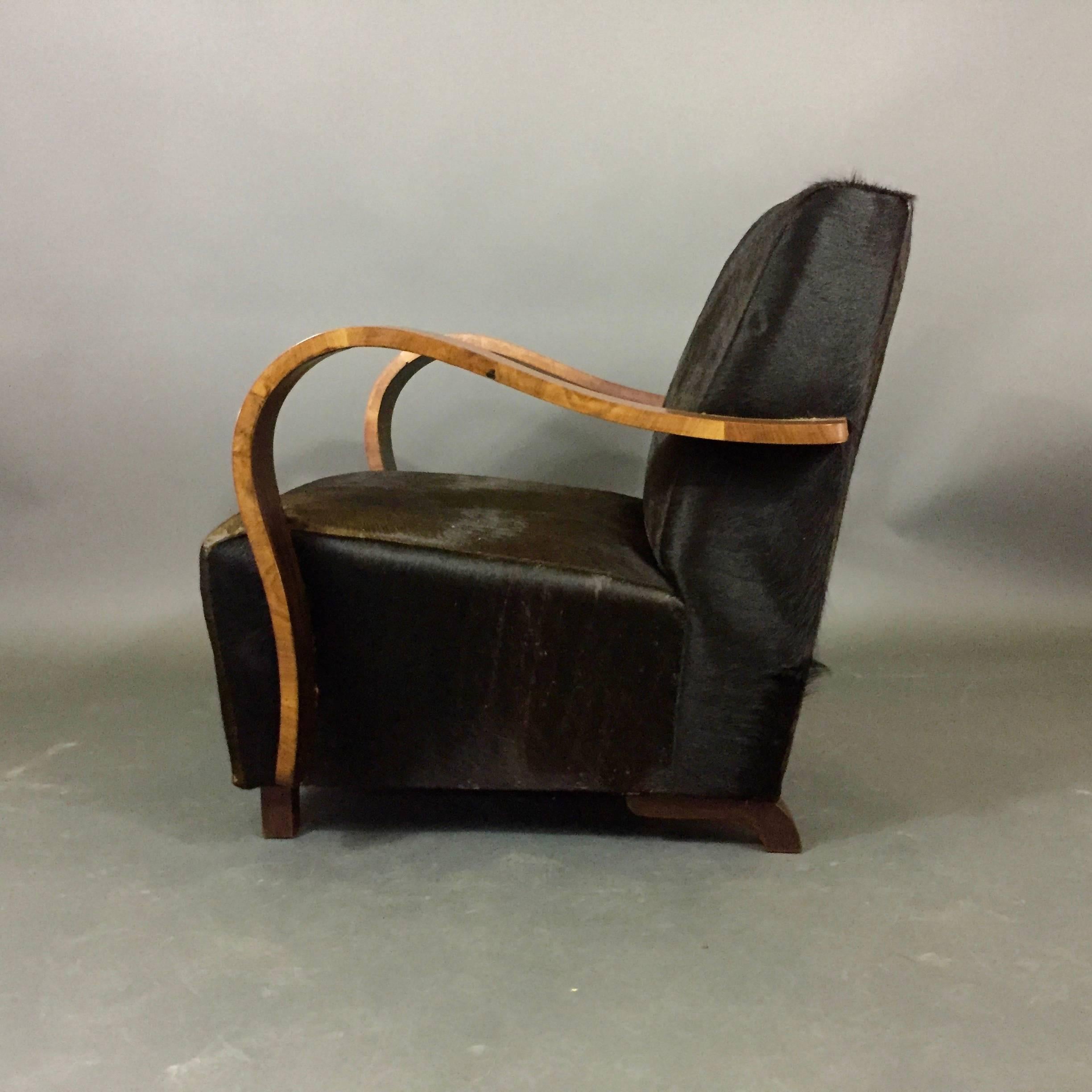 Pair of 1930s Austrian Art Deco Lounge Chairs, Black Hide Covers For Sale 1