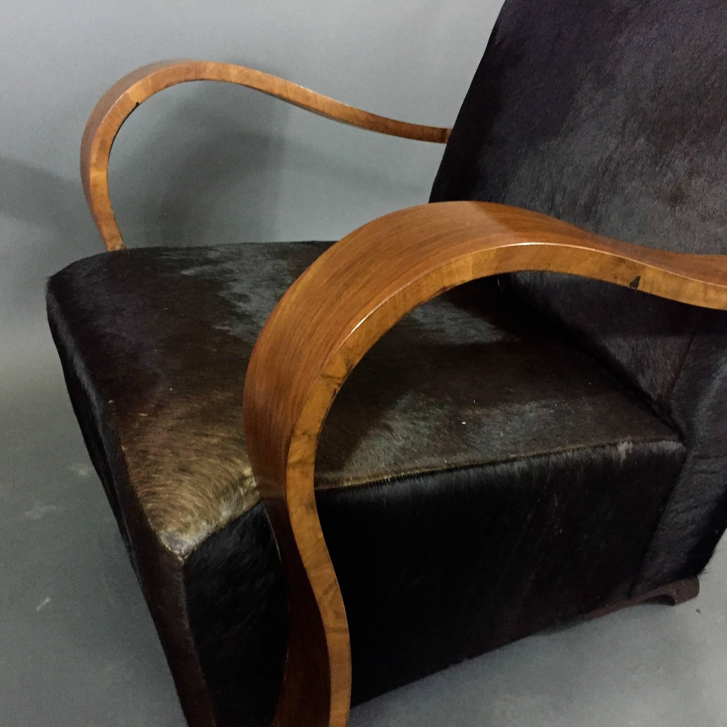 Pair of 1930s Austrian Art Deco Lounge Chairs, Black Hide Covers For Sale 2