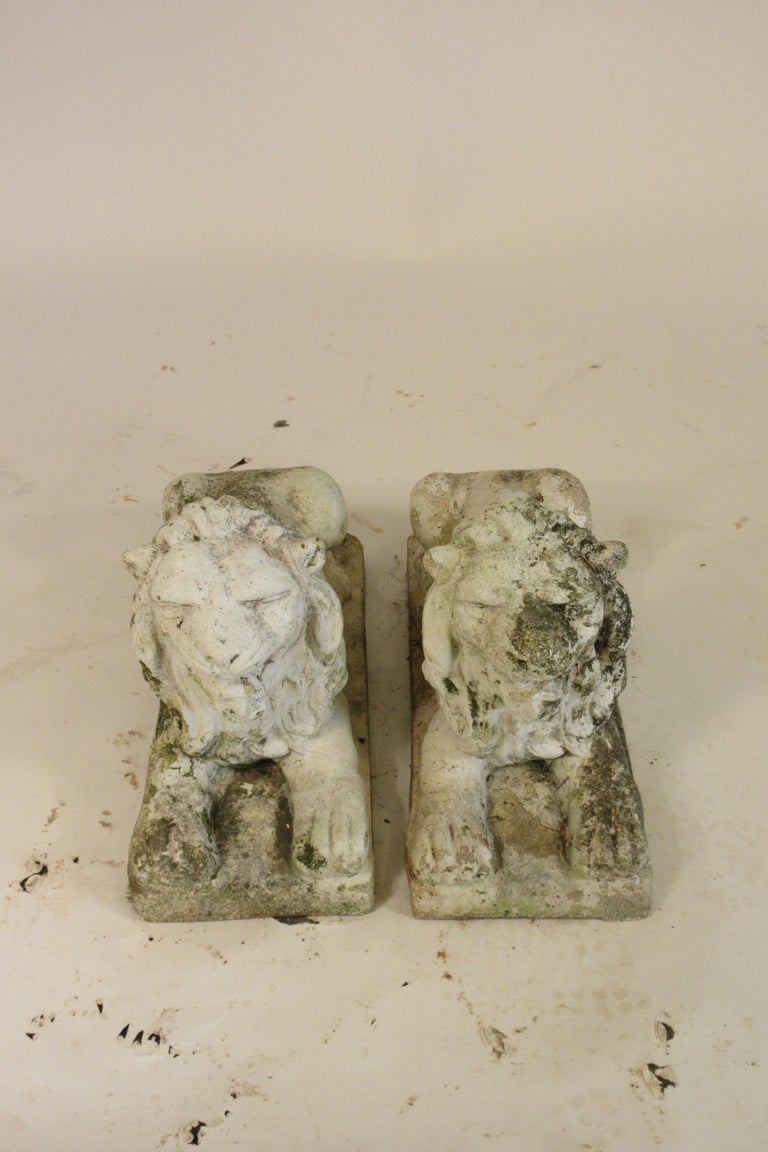 Pair of 1940s Concrete Lions at 1stDibs