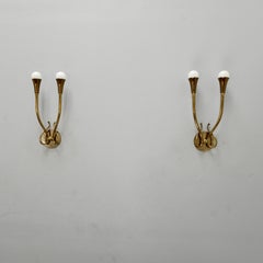 Pair of 1940s Tall Botanical Sconces