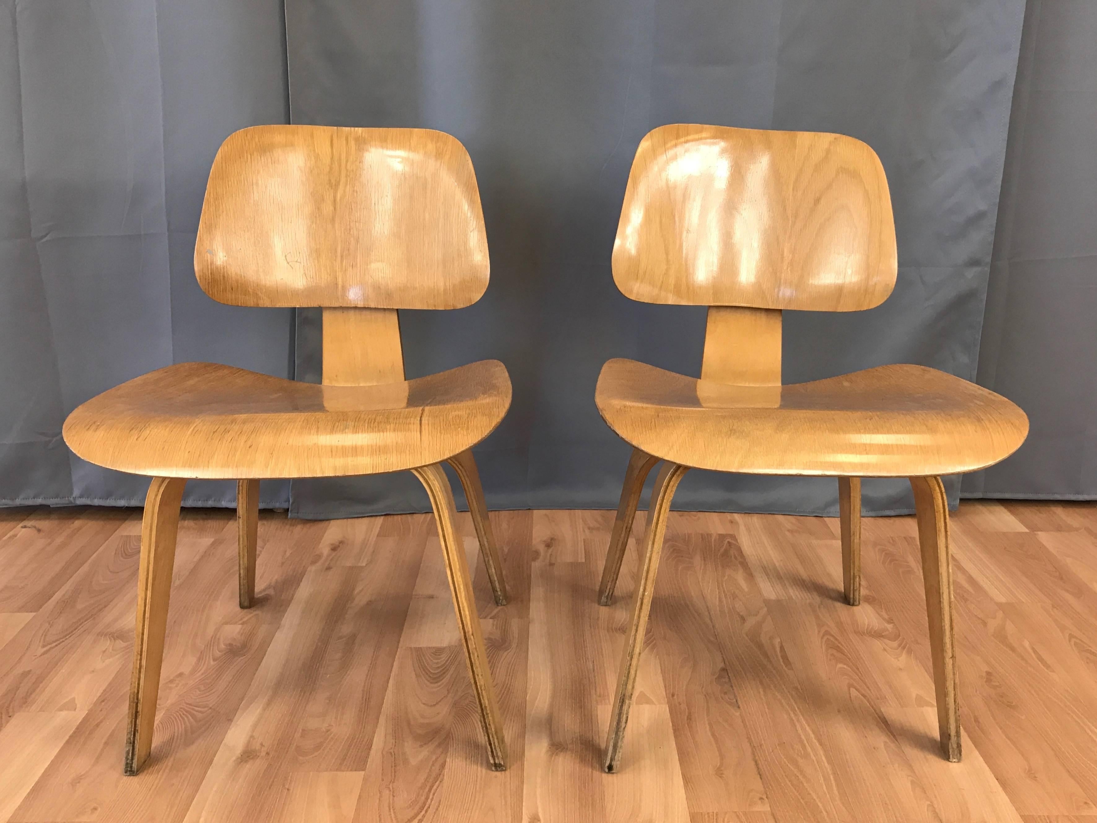 Mid-20th Century Pair of 1948 Eames for Herman Miller Evans Production Ash DCW Chairs