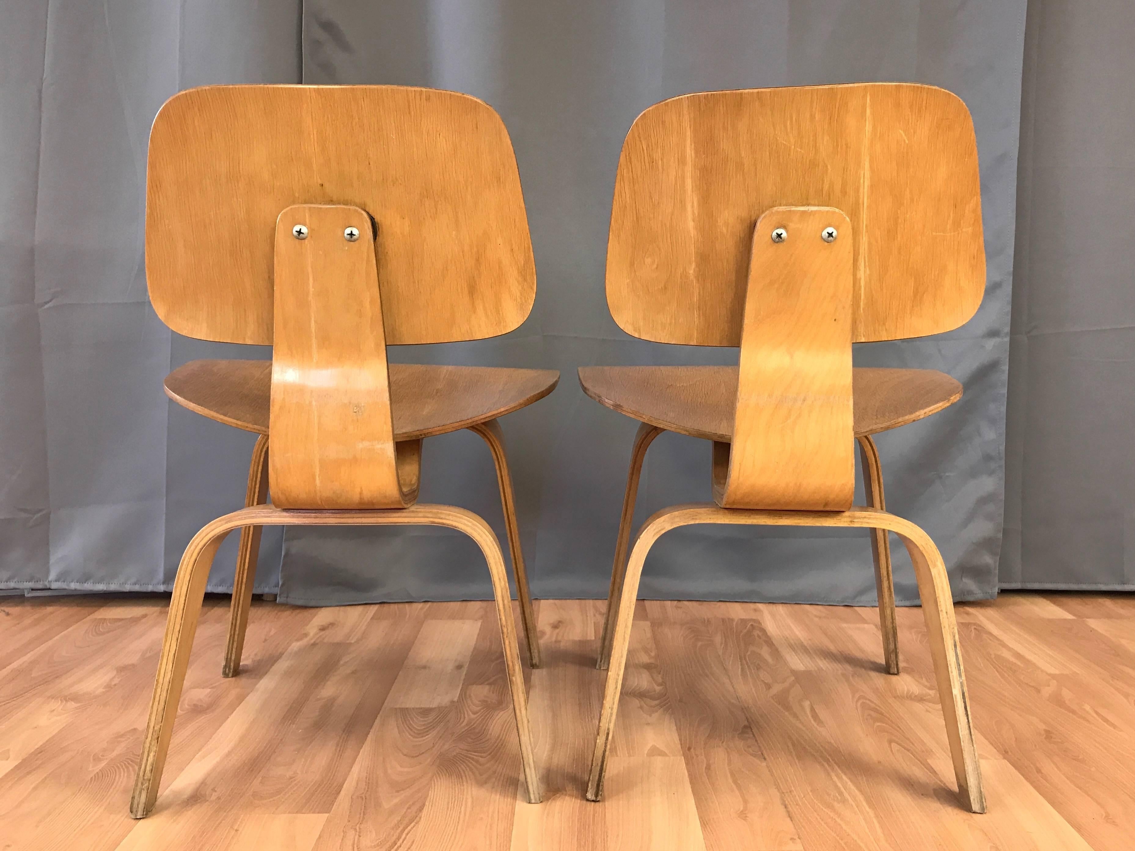 American Pair of 1948 Eames for Herman Miller Evans Production Ash DCW Chairs