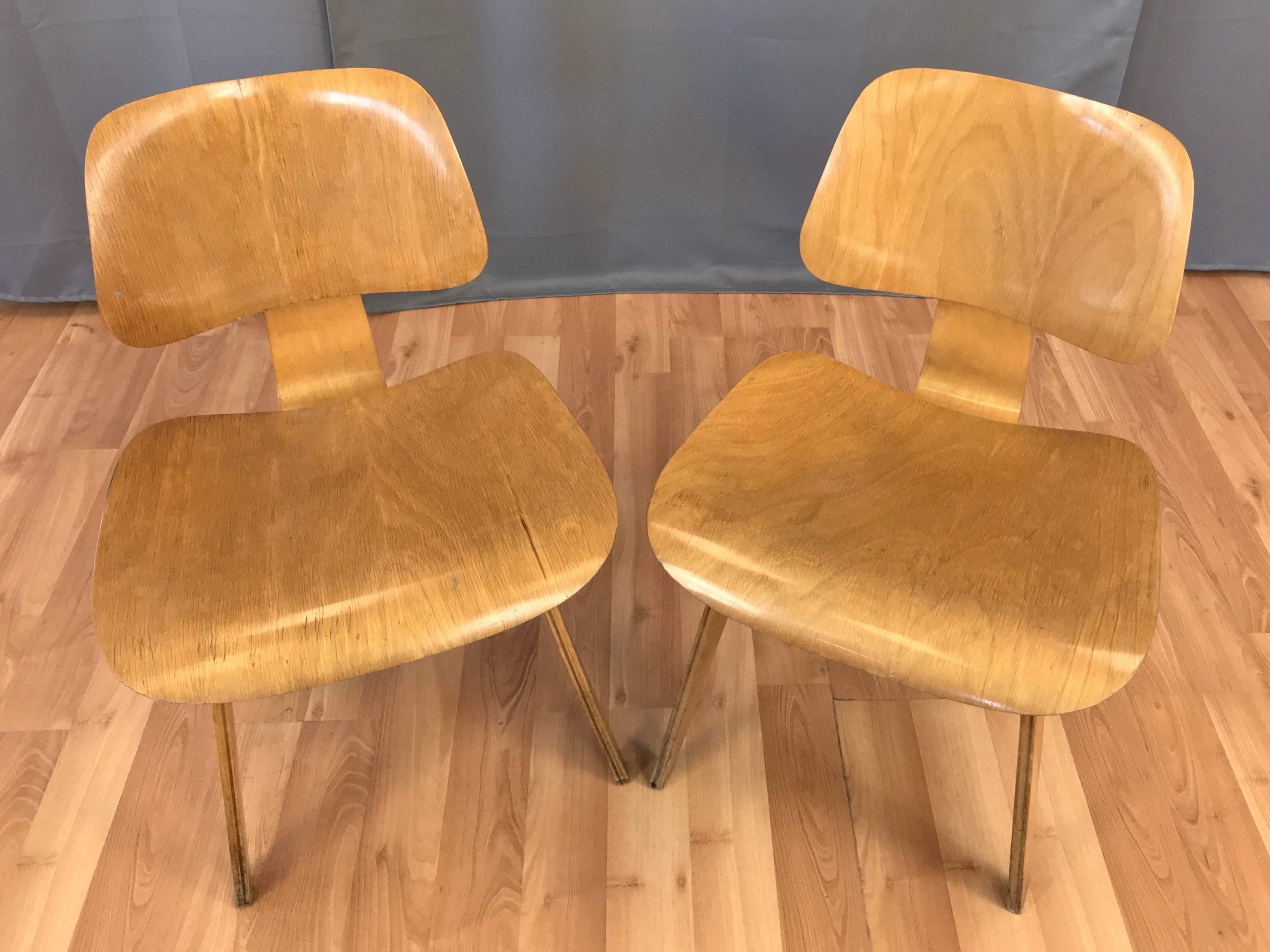 Rubber Pair of 1948 Eames for Herman Miller Evans Production Ash DCW Chairs