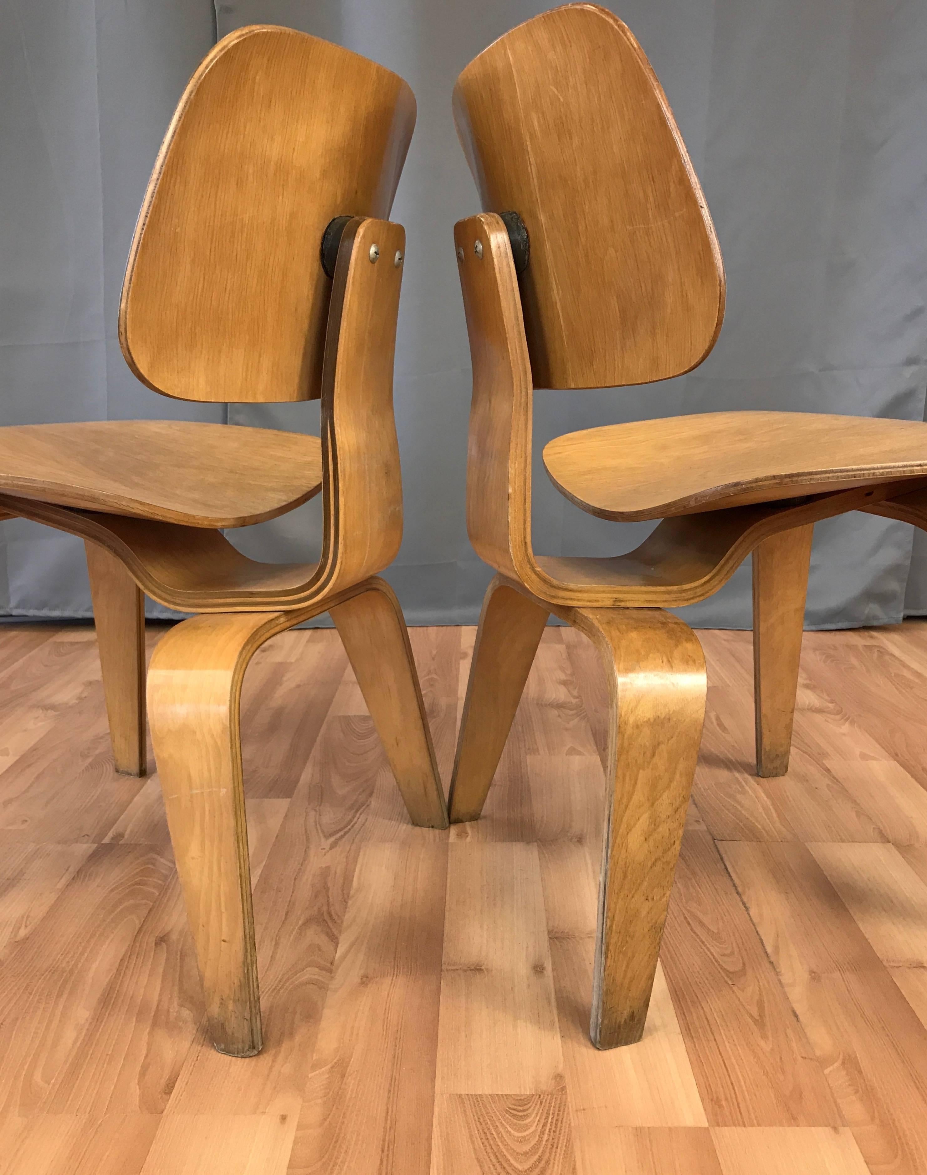 Pair of 1948 Eames for Herman Miller Evans Production Ash DCW Chairs 2