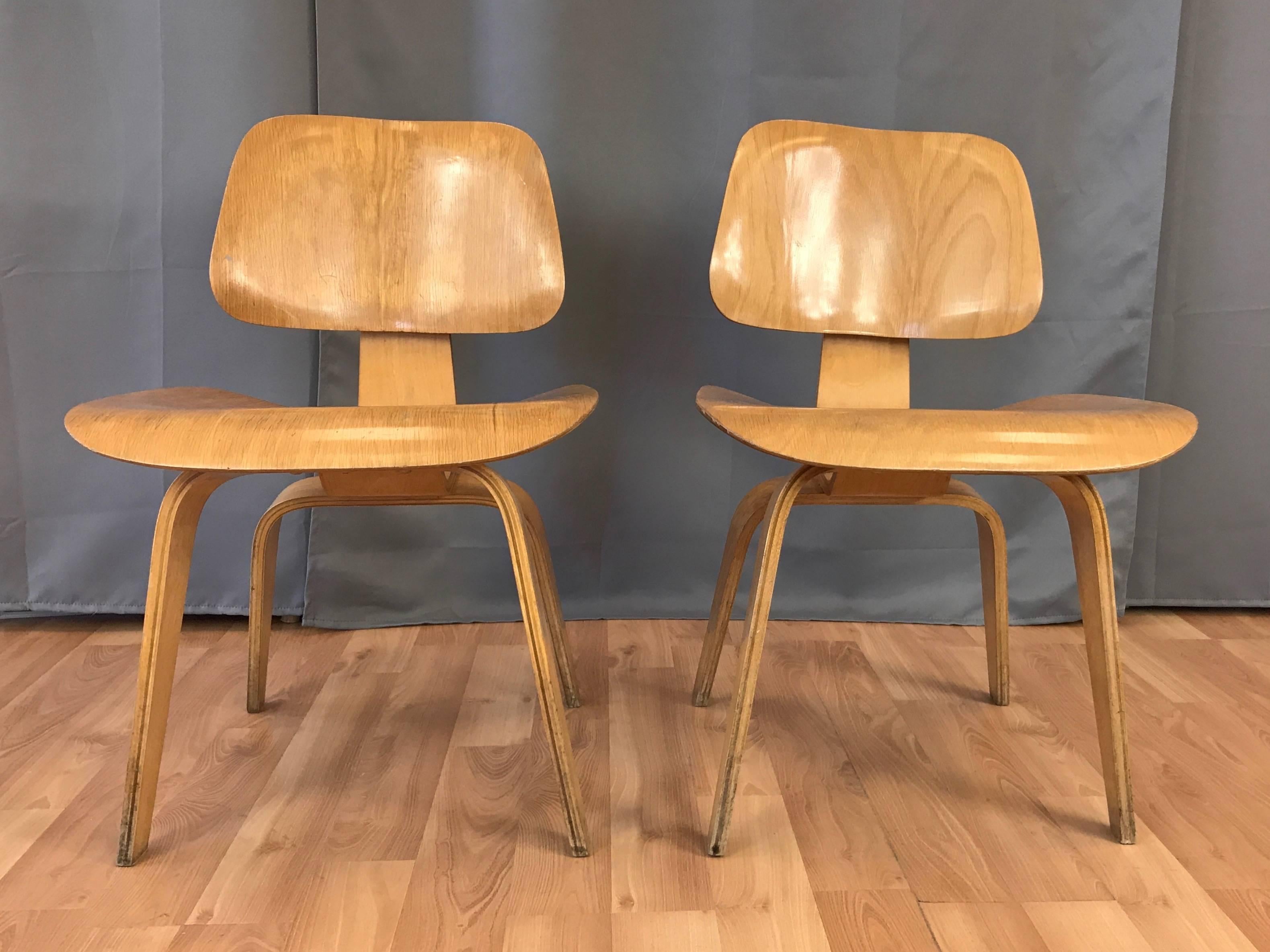 A rare matched pair of 1948 Charles Eames-designed DCW chairs in ash, manufactured by Evans Products Company for Herman Miller.

A very handsome early example of one of the most iconic and enduring mid-century modern chair designs. All original
