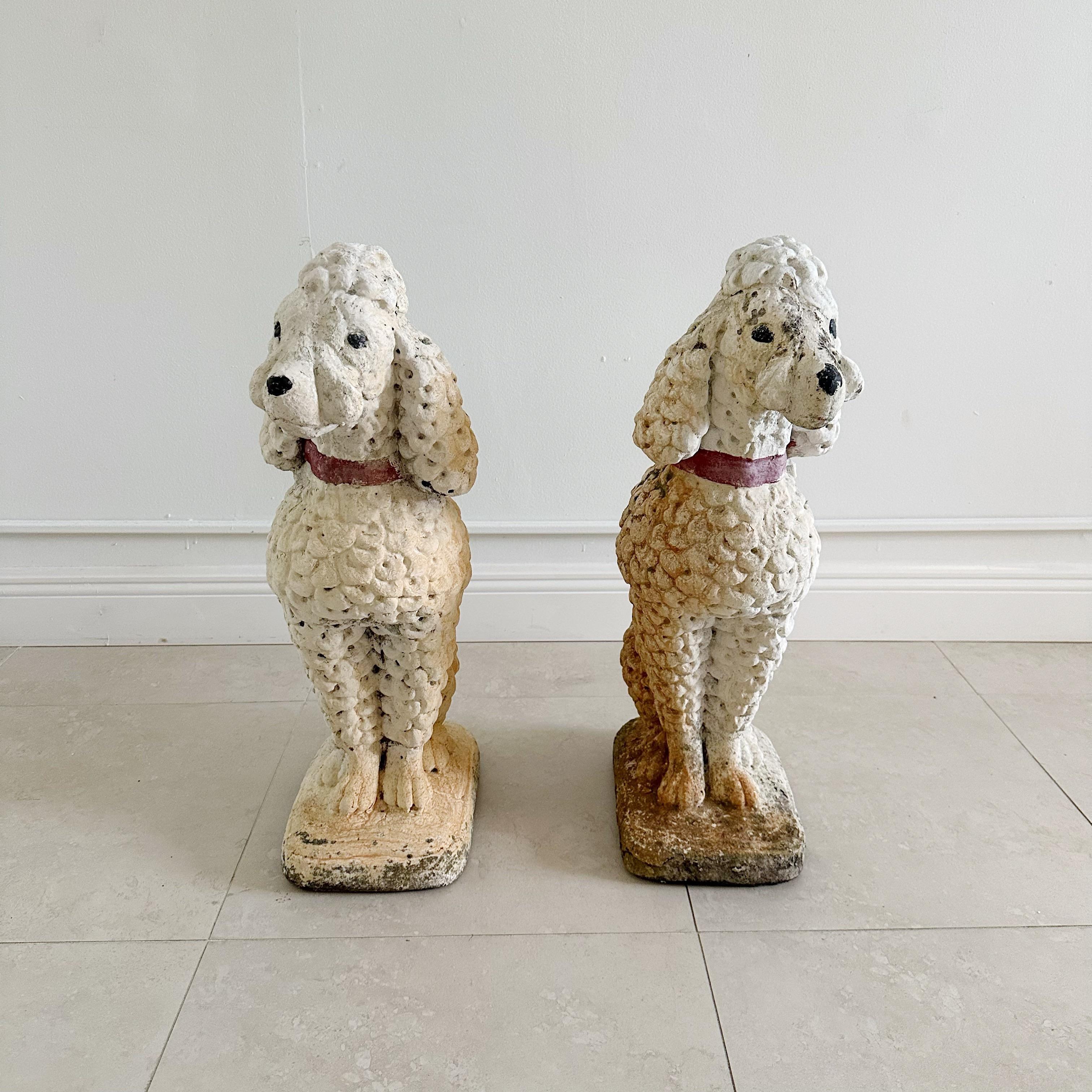 A delightful pair of vintage cement poodles, adorned with charming red collars and displaying a beautifully distressed white paint finish that has acquired character over time. These endearing pieces are versatile, perfectly suited for both outdoor