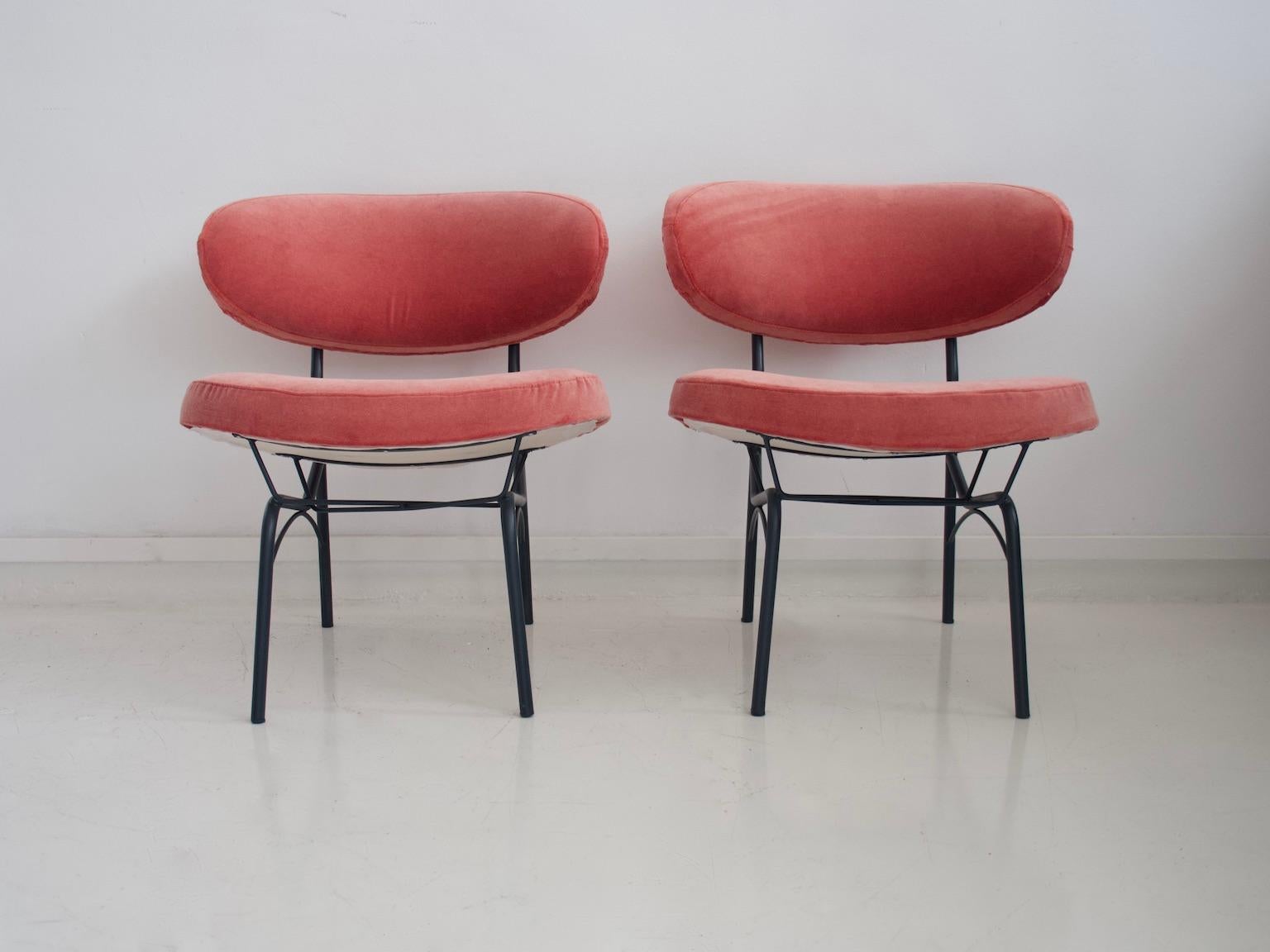 Pair of Italian made chairs from the 1950s. Seat and back newly upholstered with pink velvet. Metal feet have been restored and painted in black.