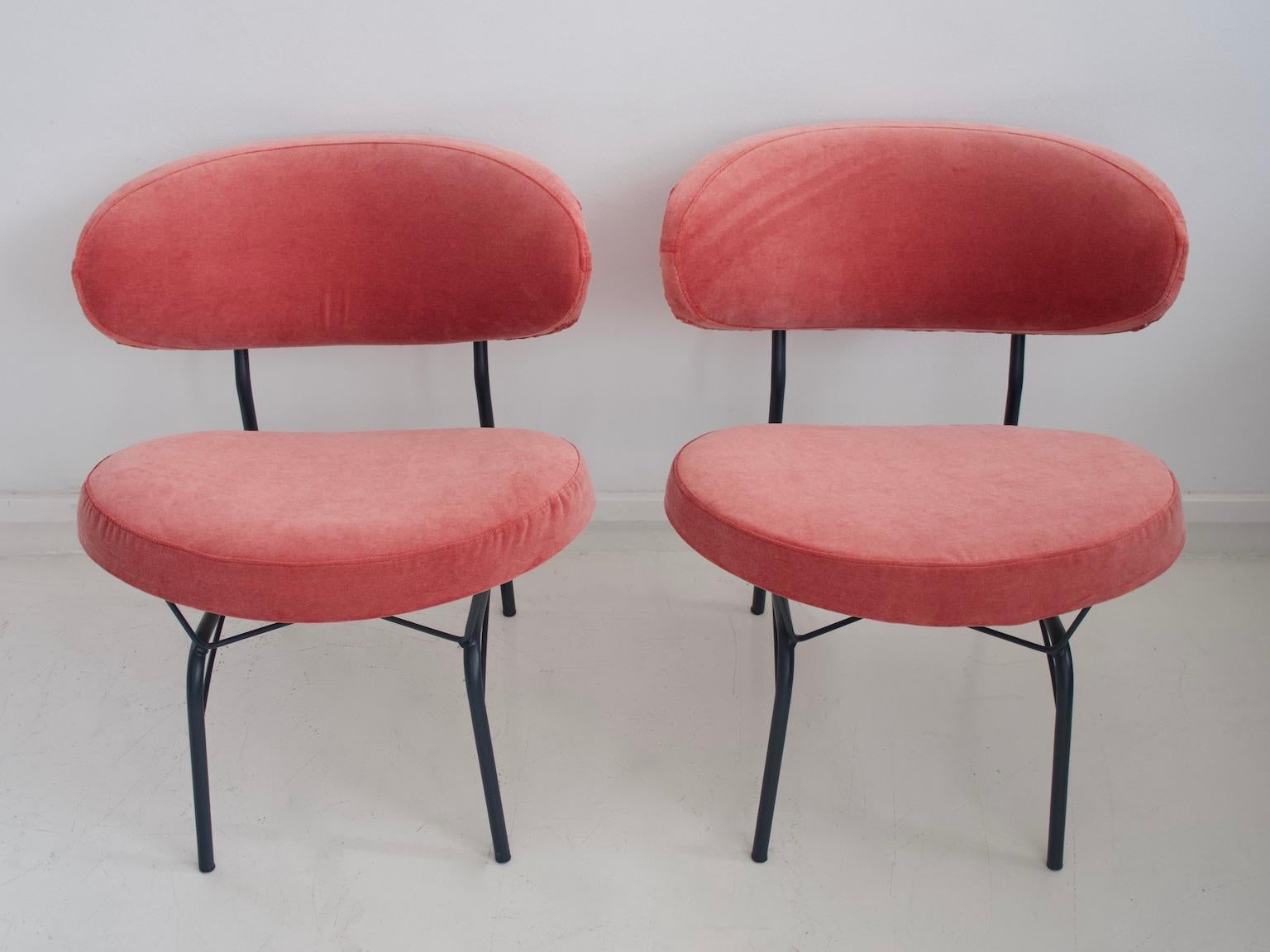 Mid-Century Modern Pair of 1950s Chairs with Pink Velvet Upholstery and Metal Feet