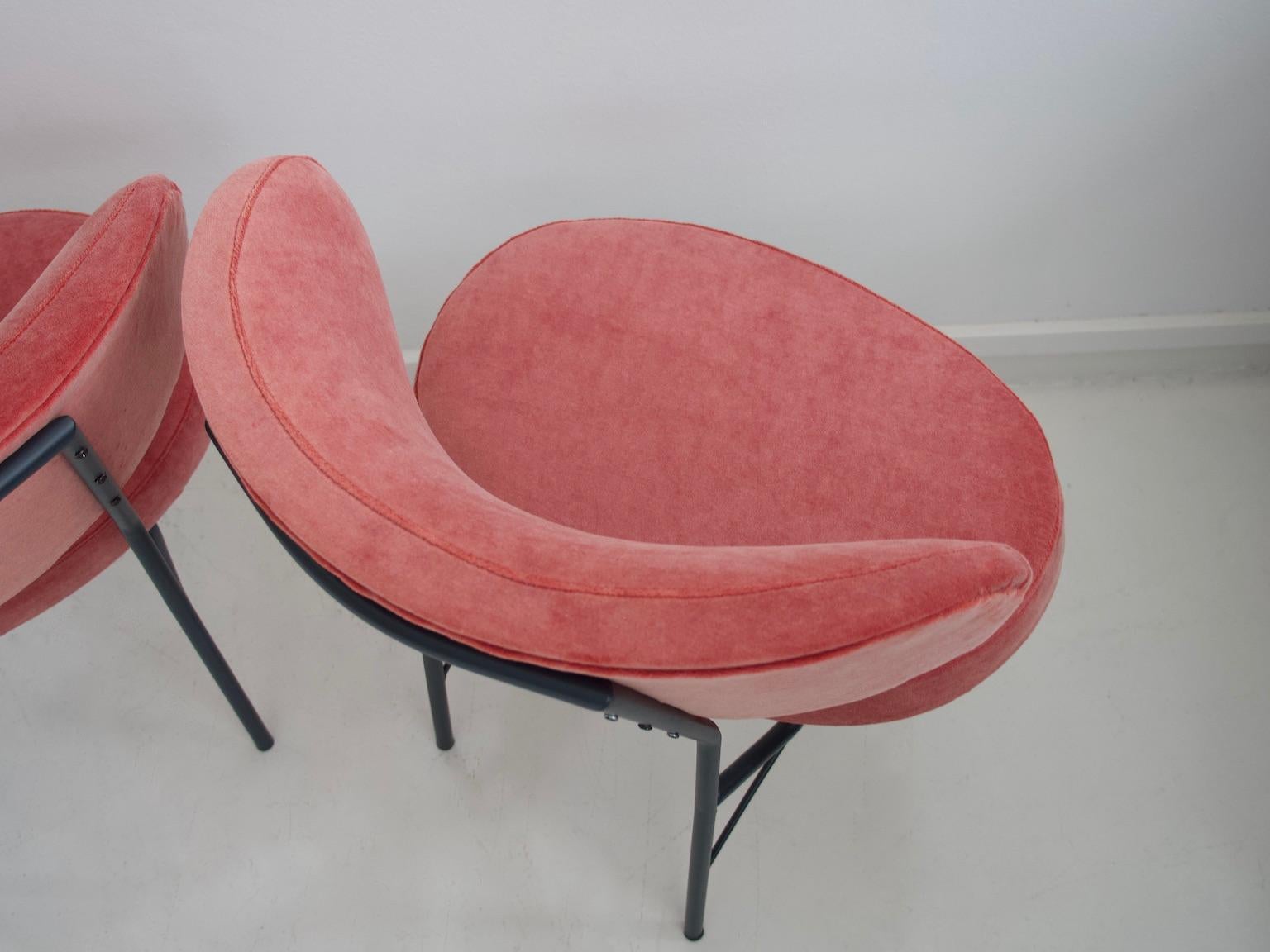 Pair of 1950s Chairs with Pink Velvet Upholstery and Metal Feet 3