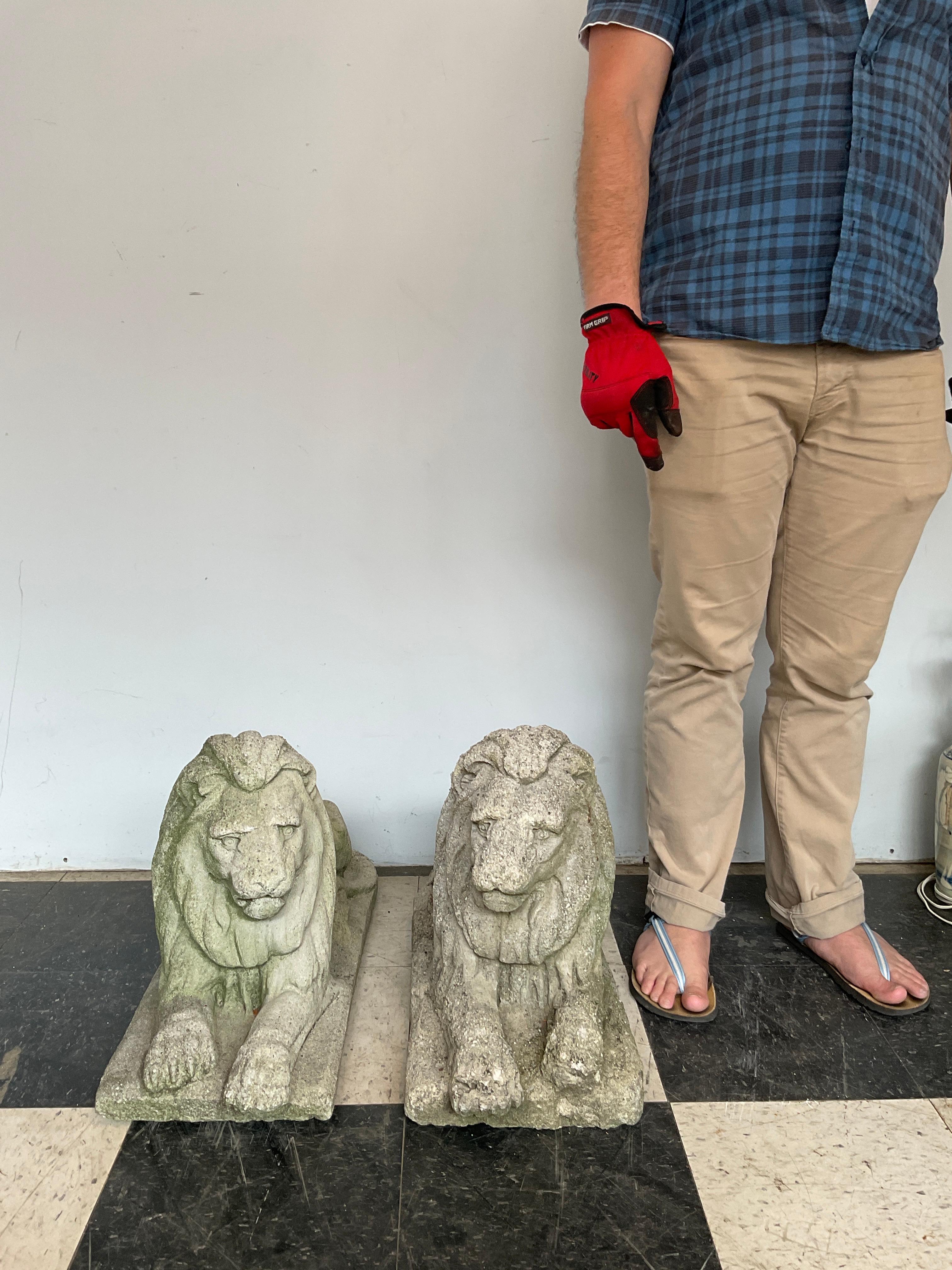 Pair of 1950s concrete lions. Some chips in concrete as shown in pictures.